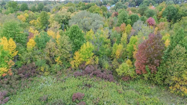 $59,900 | Lexington Avenue, Antwerp, NY 13608