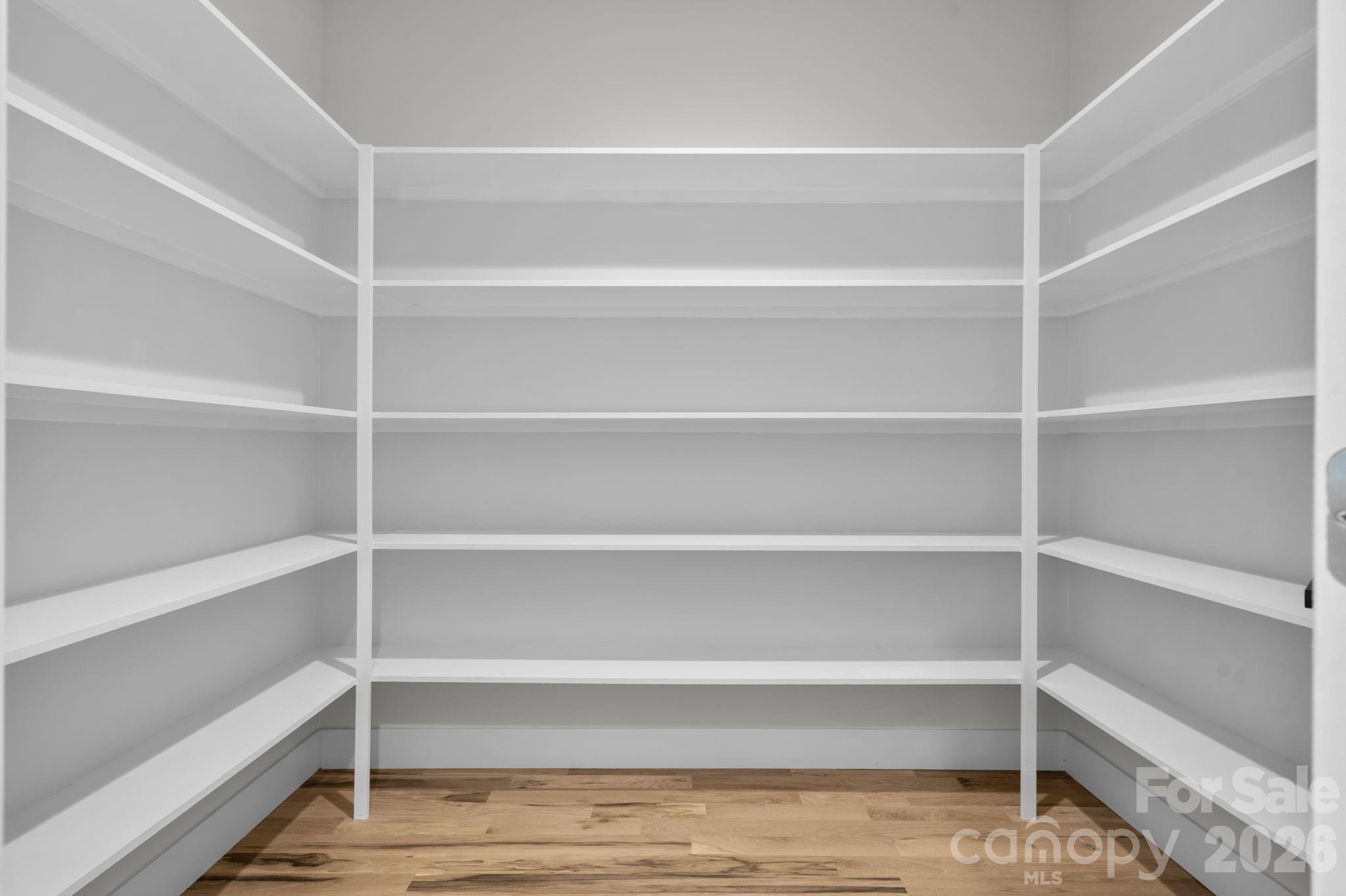 548 Car Farm Road Lincolnton, NC 28092 - Photo 7 of 41 a view of walk in closet with empty racks
