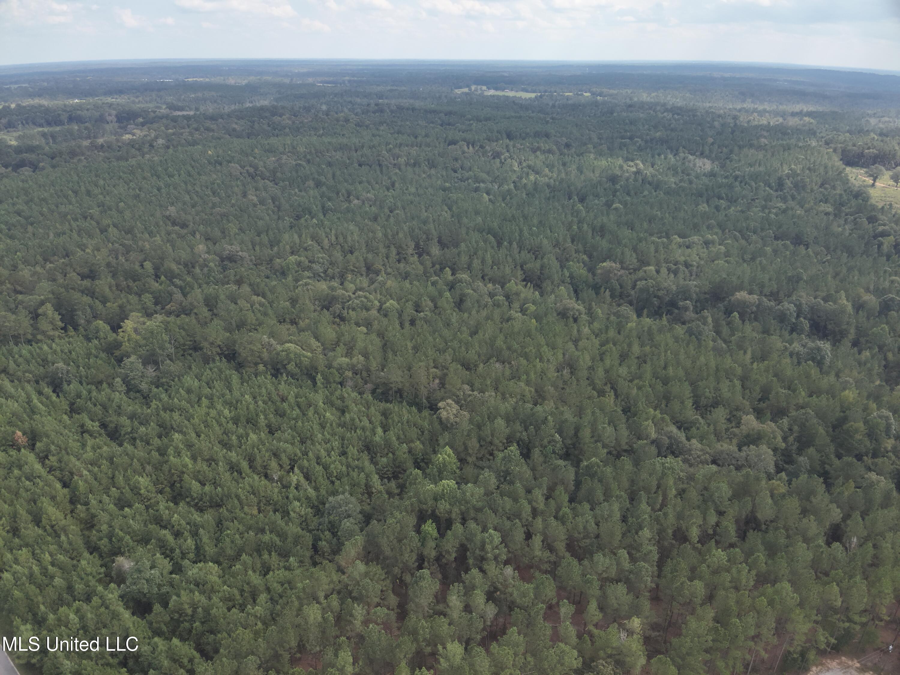 1567 County Road 8 Laurel, MS 39443 - Photo 14 of 36 DJI_20250922143819_0018_V