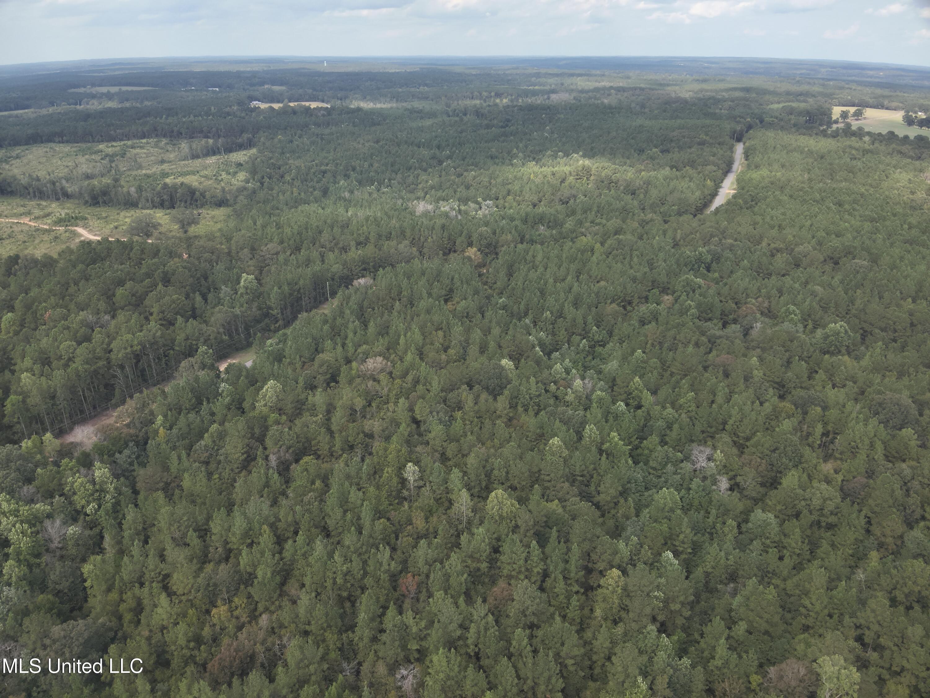 1567 County Road 8 Laurel, MS 39443 - Photo 16 of 36 DJI_20250922143506_0007_V