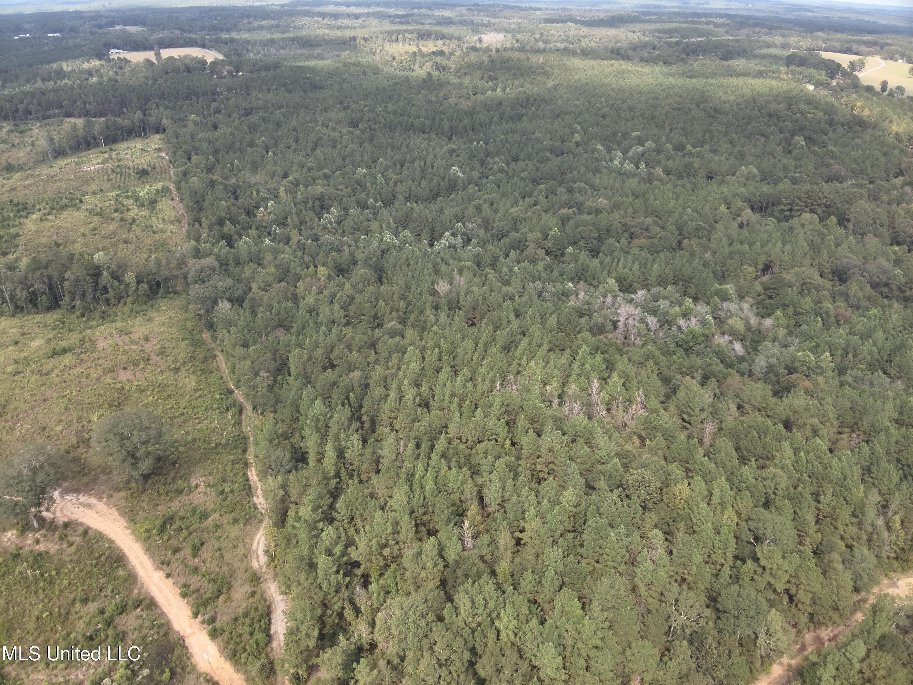 1567 County Road 8 Laurel, MS 39443 - Photo 17 of 36 DJI_20250922143314_0004_V