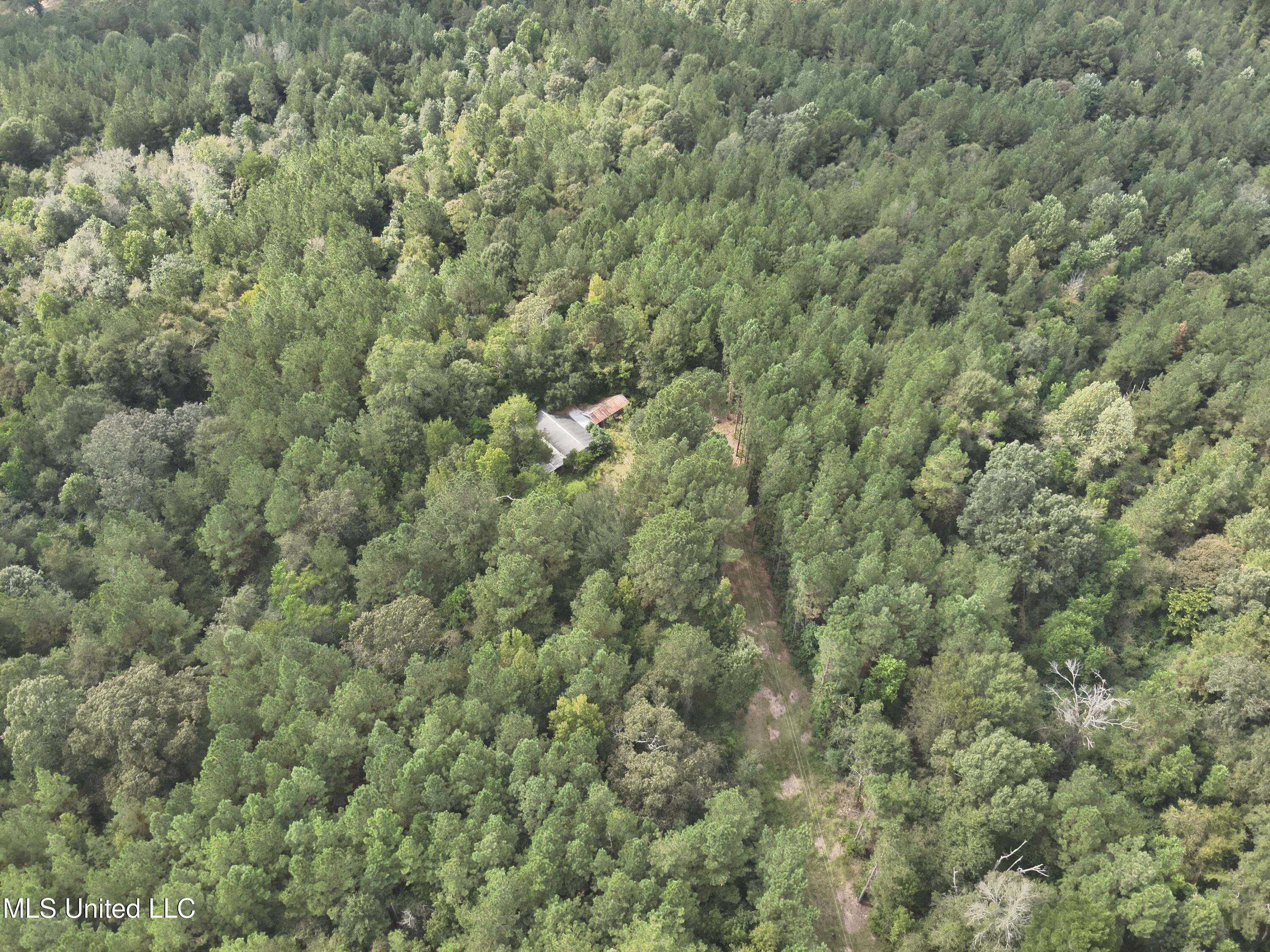 1567 County Road 8 Laurel, MS 39443 - Photo 20 of 36 DJI_20250922144222_0037_V