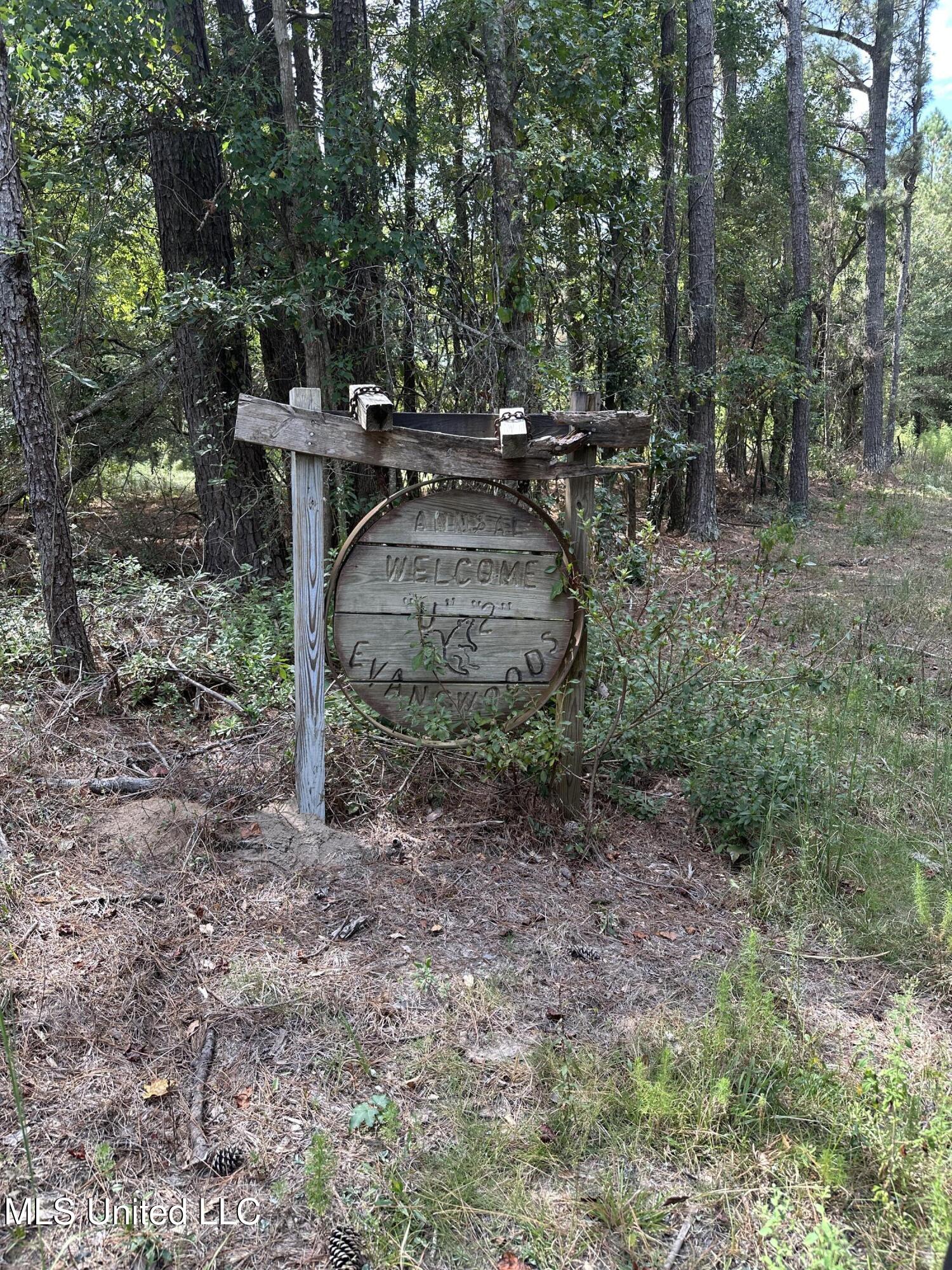 1567 County Road 8 Laurel, MS 39443 - Photo 2 of 36 IMG_4804