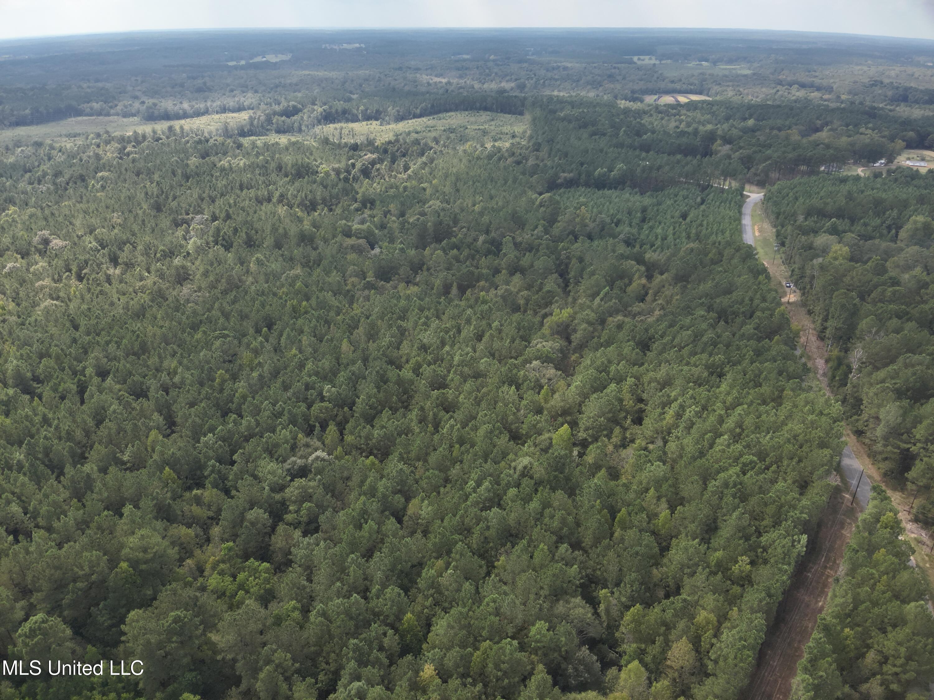 1567 County Road 8 Laurel, MS 39443 - Photo 22 of 36 DJI_20250922144026_0028_V