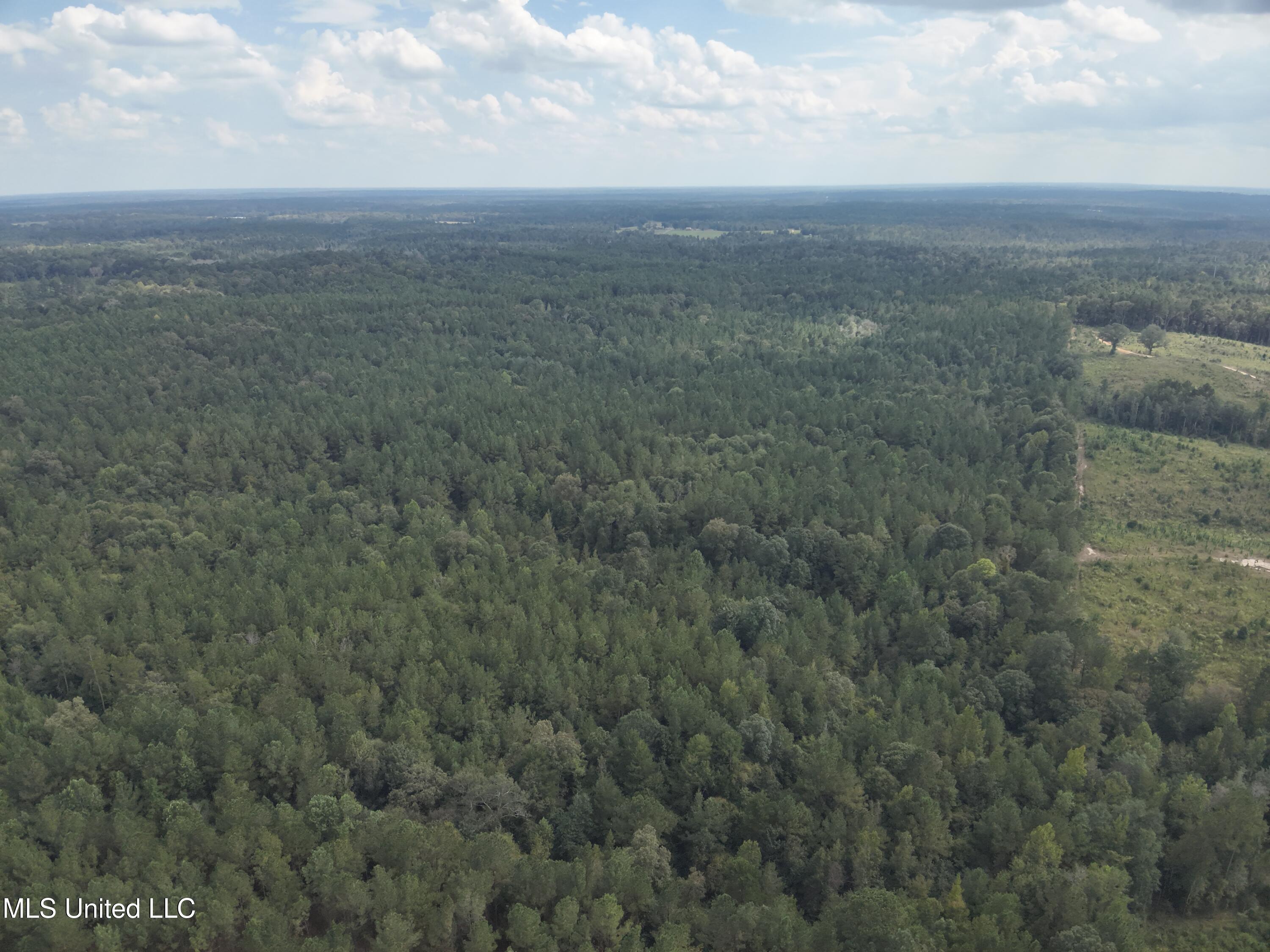 1567 County Road 8 Laurel, MS 39443 - Photo 26 of 36 DJI_20250922143807_0017_V