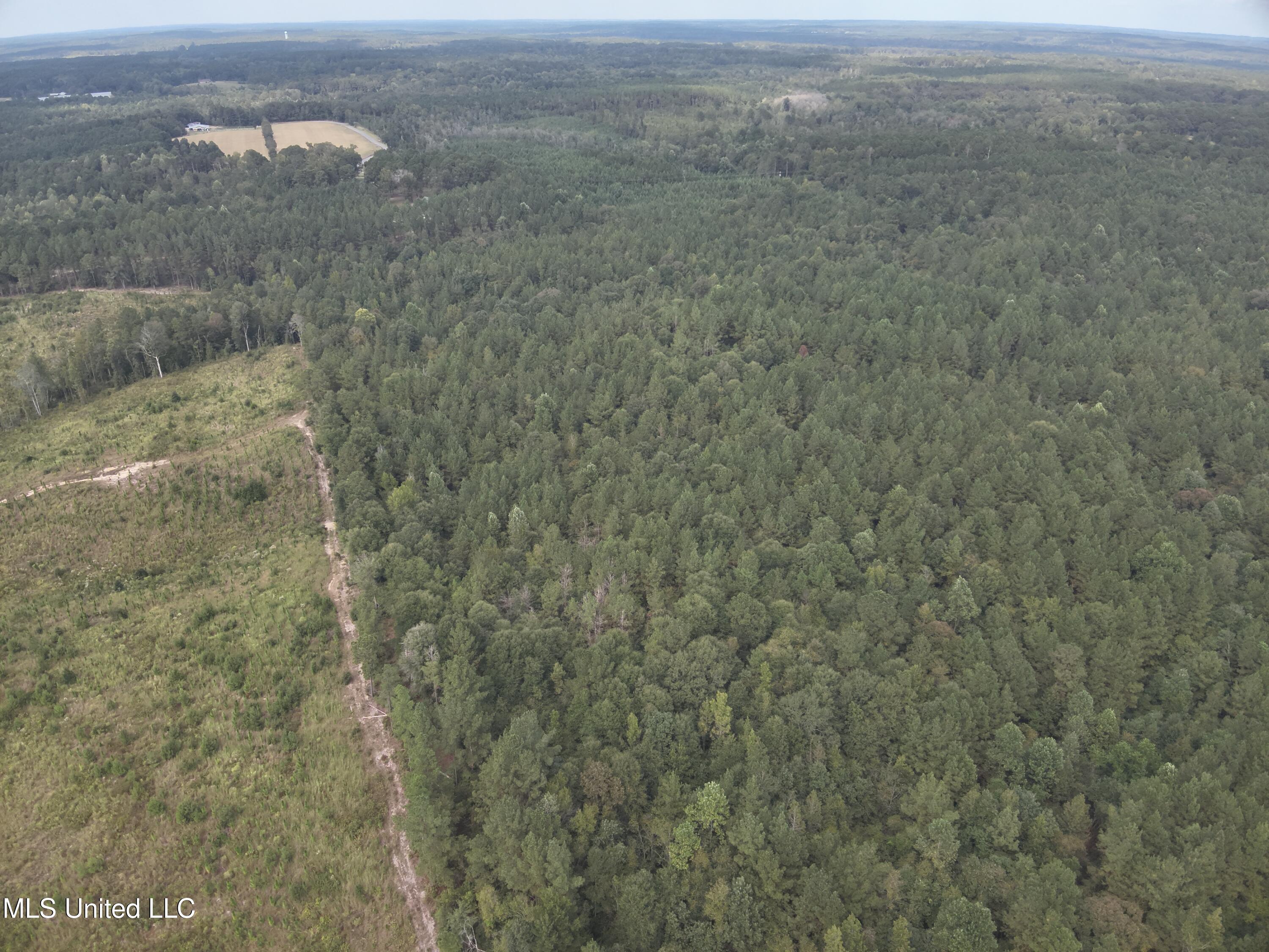1567 County Road 8 Laurel, MS 39443 - Photo 27 of 36 DJI_20250922143633_0014_V