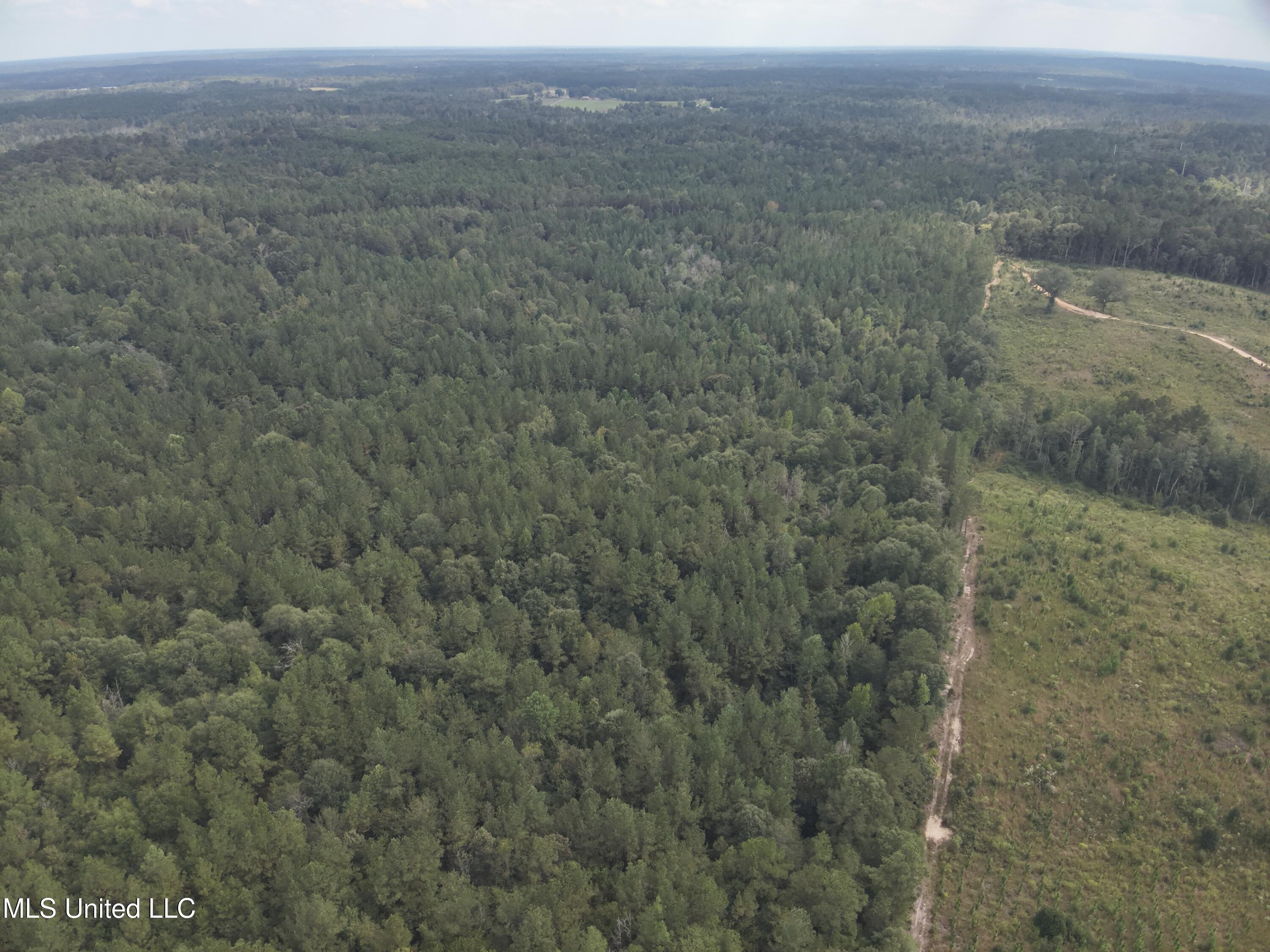 1567 County Road 8 Laurel, MS 39443 - Photo 28 of 36 DJI_20250922143730_0015_V