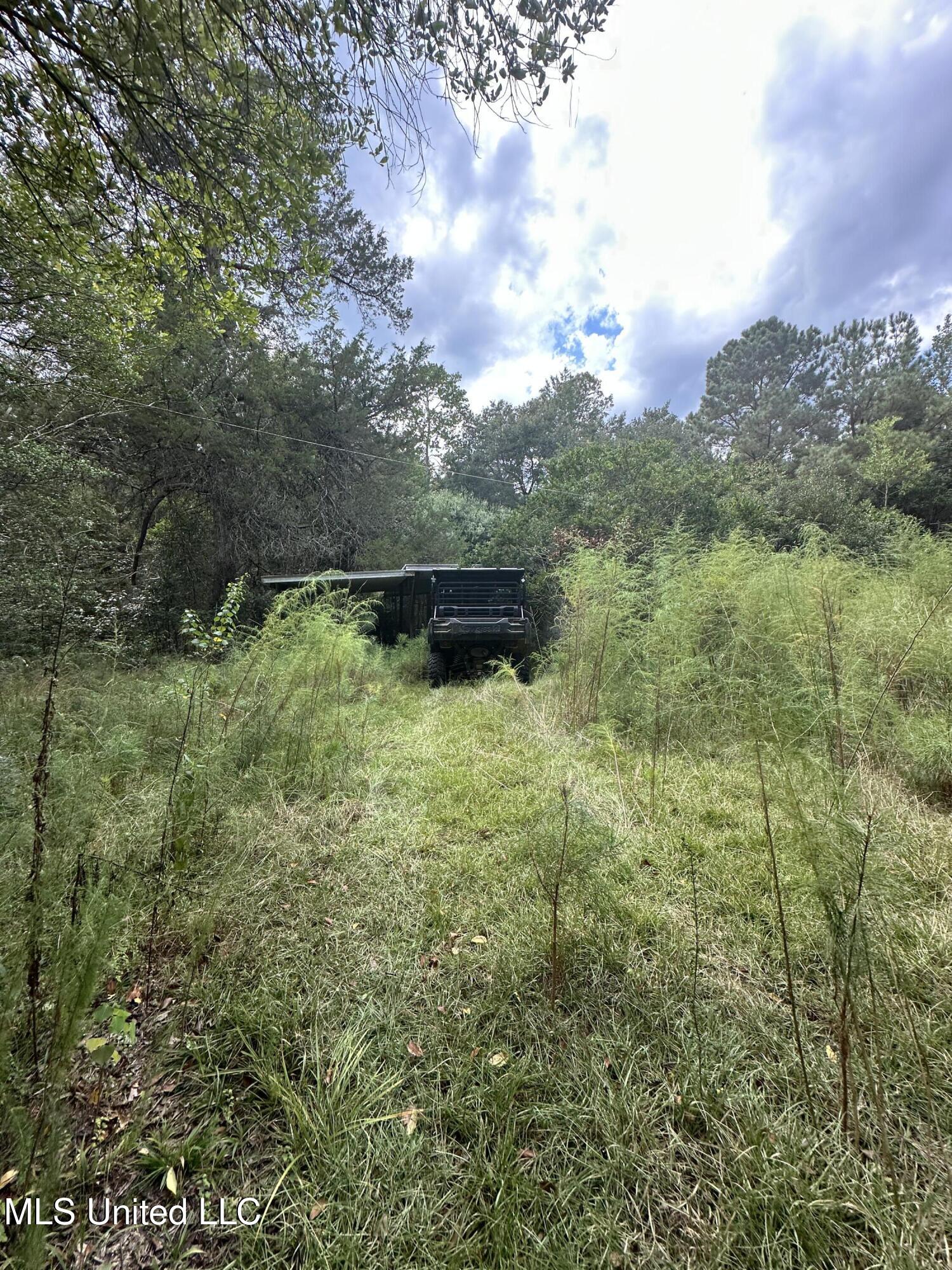 1567 County Road 8 Laurel, MS 39443 - Photo 32 of 36 IMG_4821