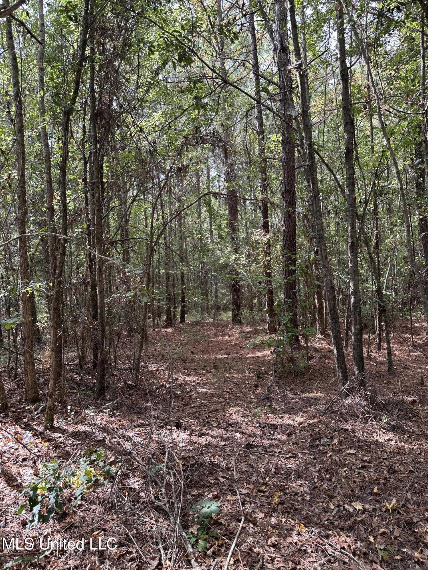 1567 County Road 8 Laurel, MS 39443 - Photo 8 of 36 IMG_4824