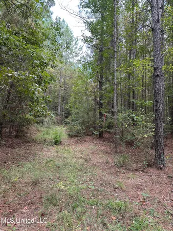 $475,700 | 1567 County Road 8, Laurel, MS 39443