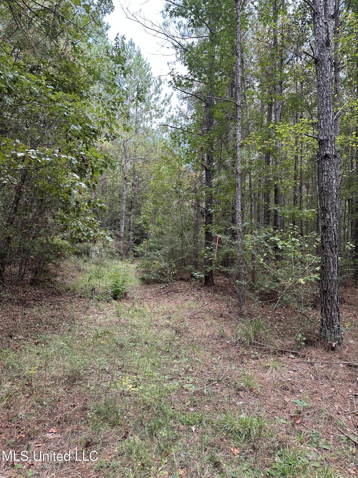 1567 County Road 8 Laurel, MS 39443 - Photo 10 of 36 IMG_4784