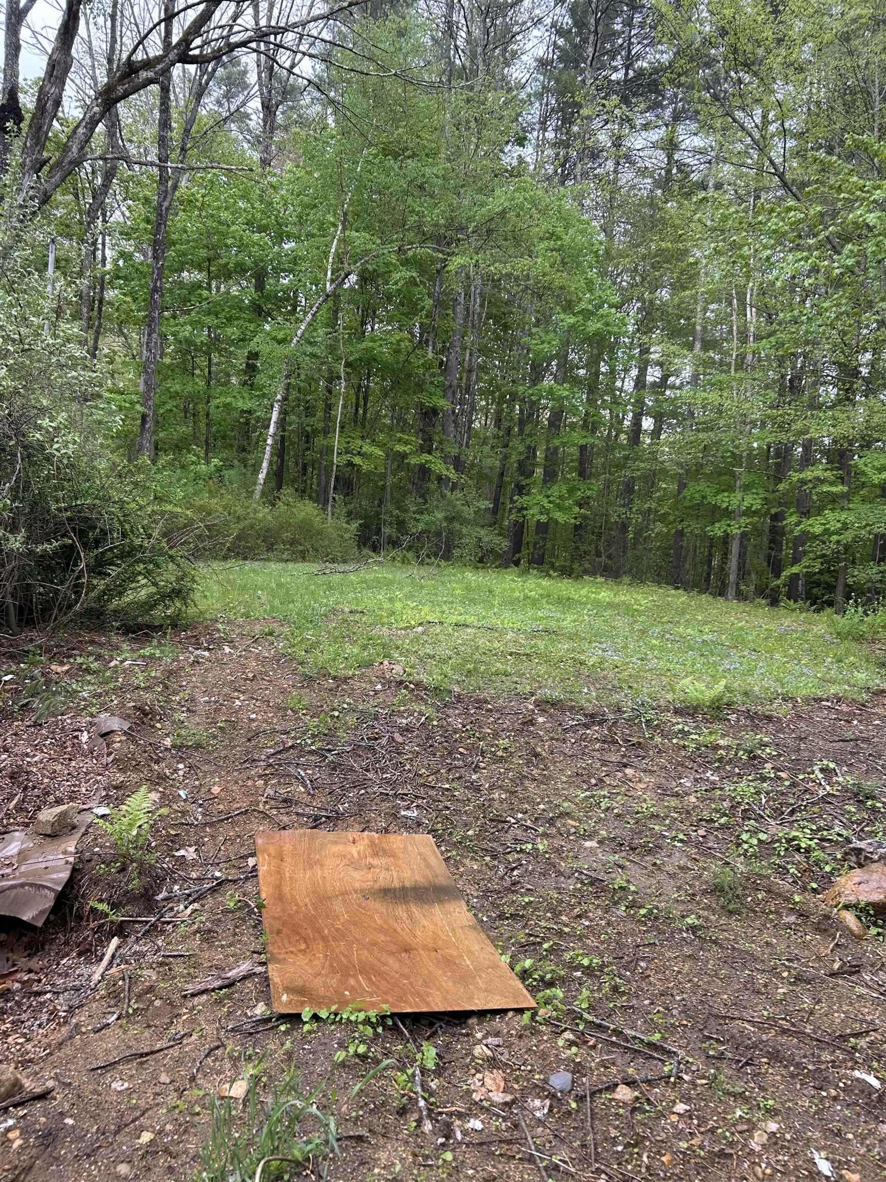 103 Mitchell Road Nottingham, NH 03290 - Photo 13 of 28