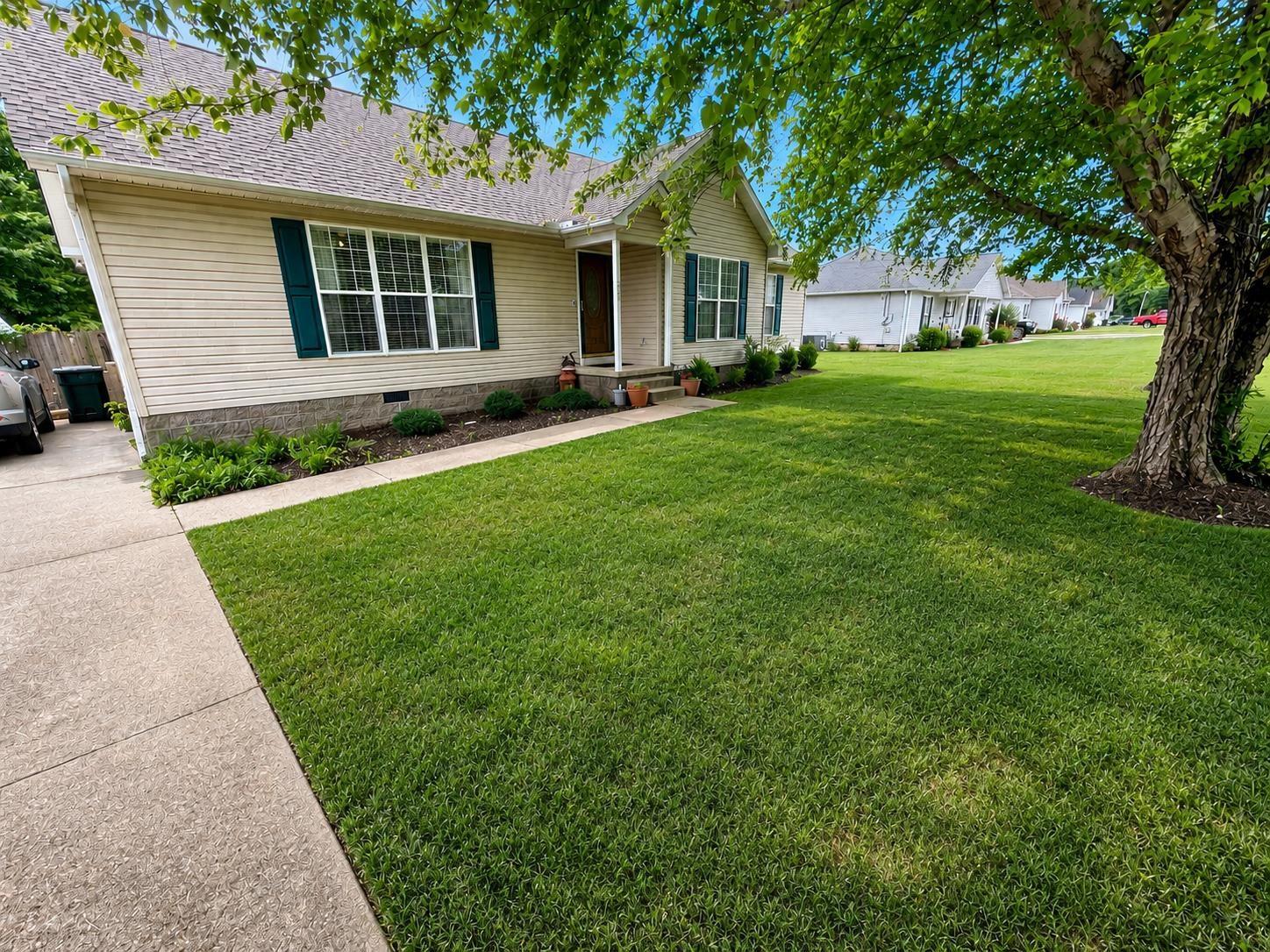 246 Collins Street Ripley, TN 38063 - Photo 2 of 22