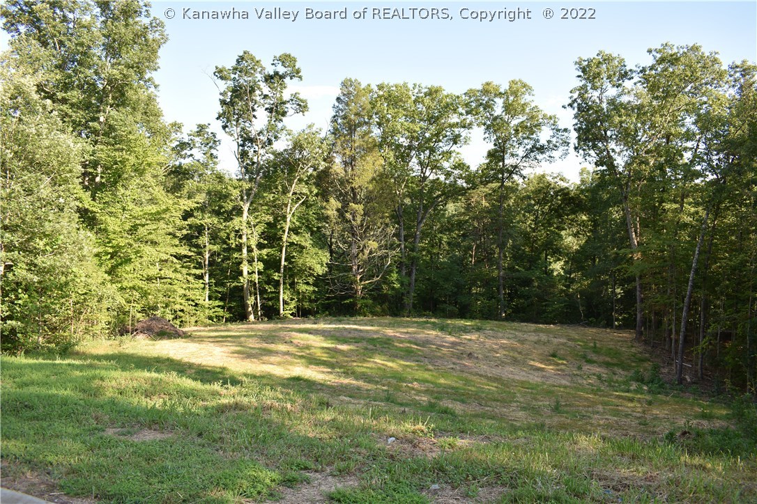 70 Brantley Drive Winfield, WV 25213 - Photo 2 of 3 On Cul-de-sac! Gorgeous lot already cleared and ready for your home!