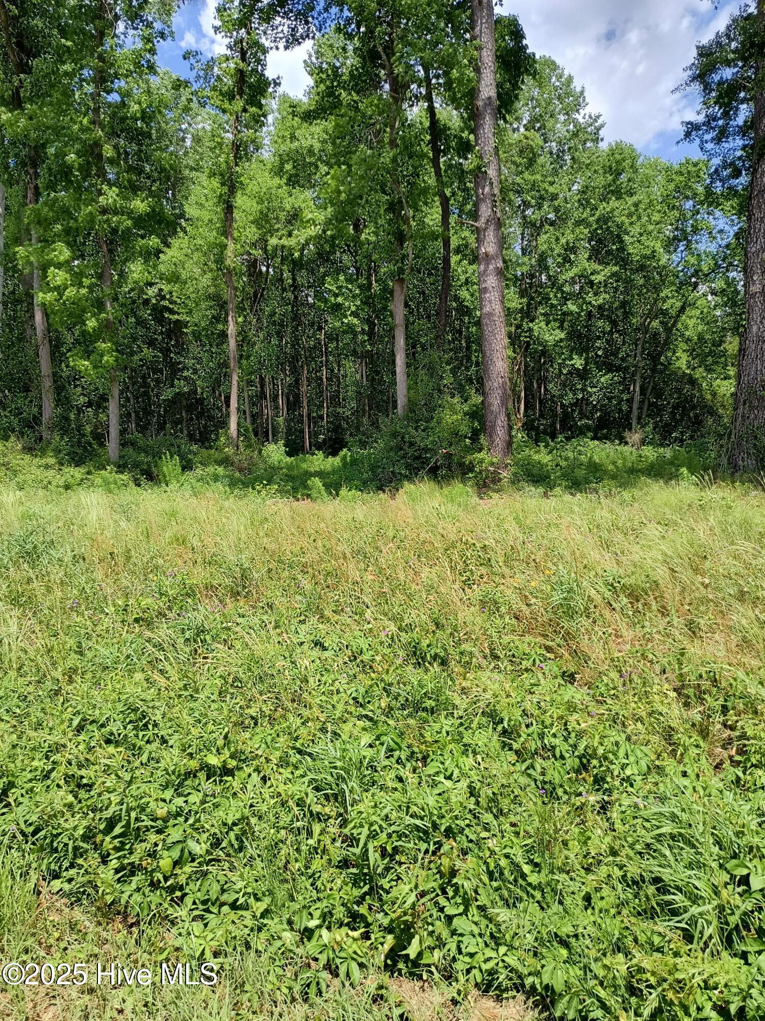 Lot B Tyree Road Kinston, NC 28504 - Photo 1 of 1 Tyree Rd. Lot B