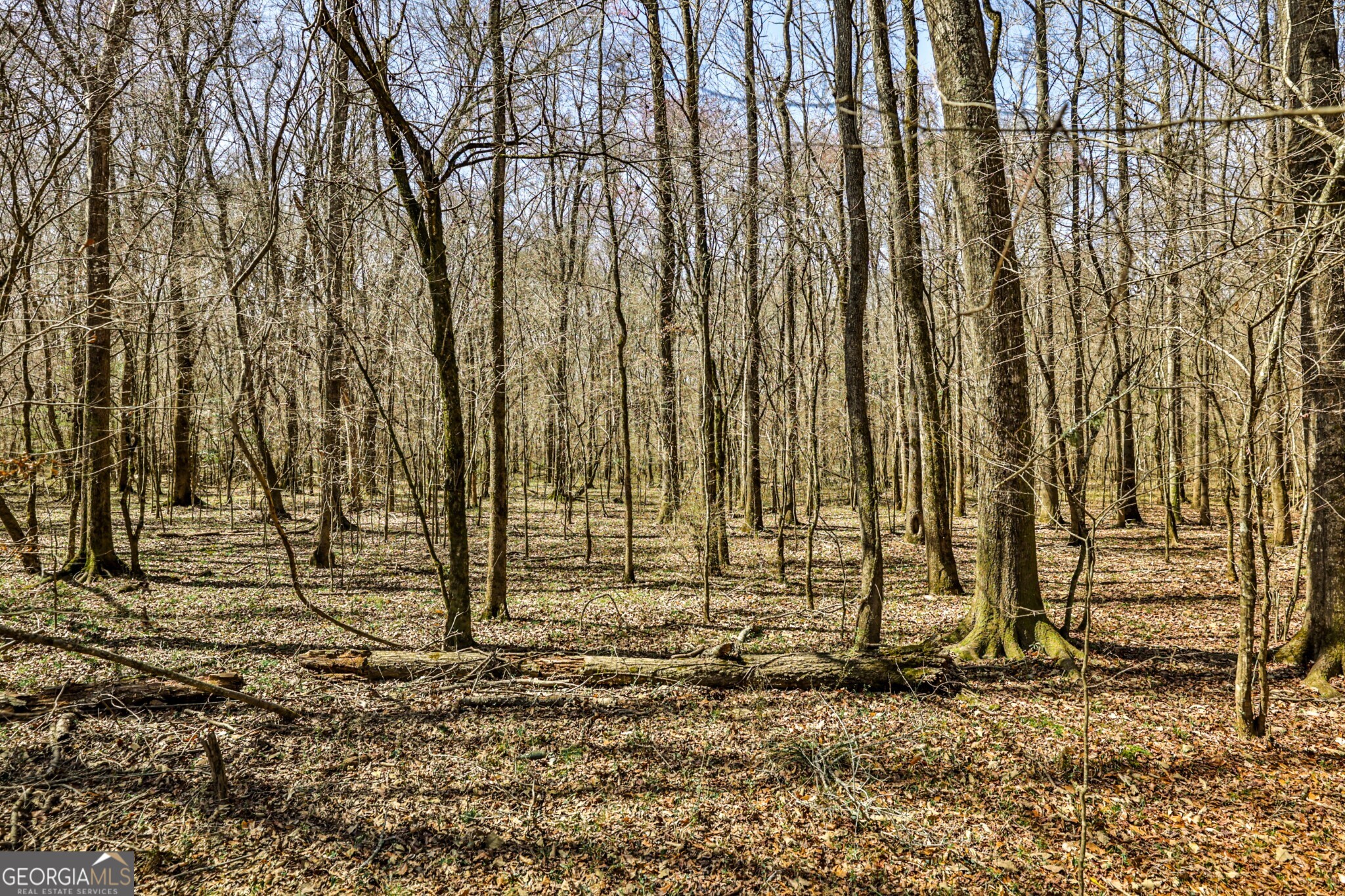 1757 Alabama Road Meansville, GA 30256 - Photo 11 of 91