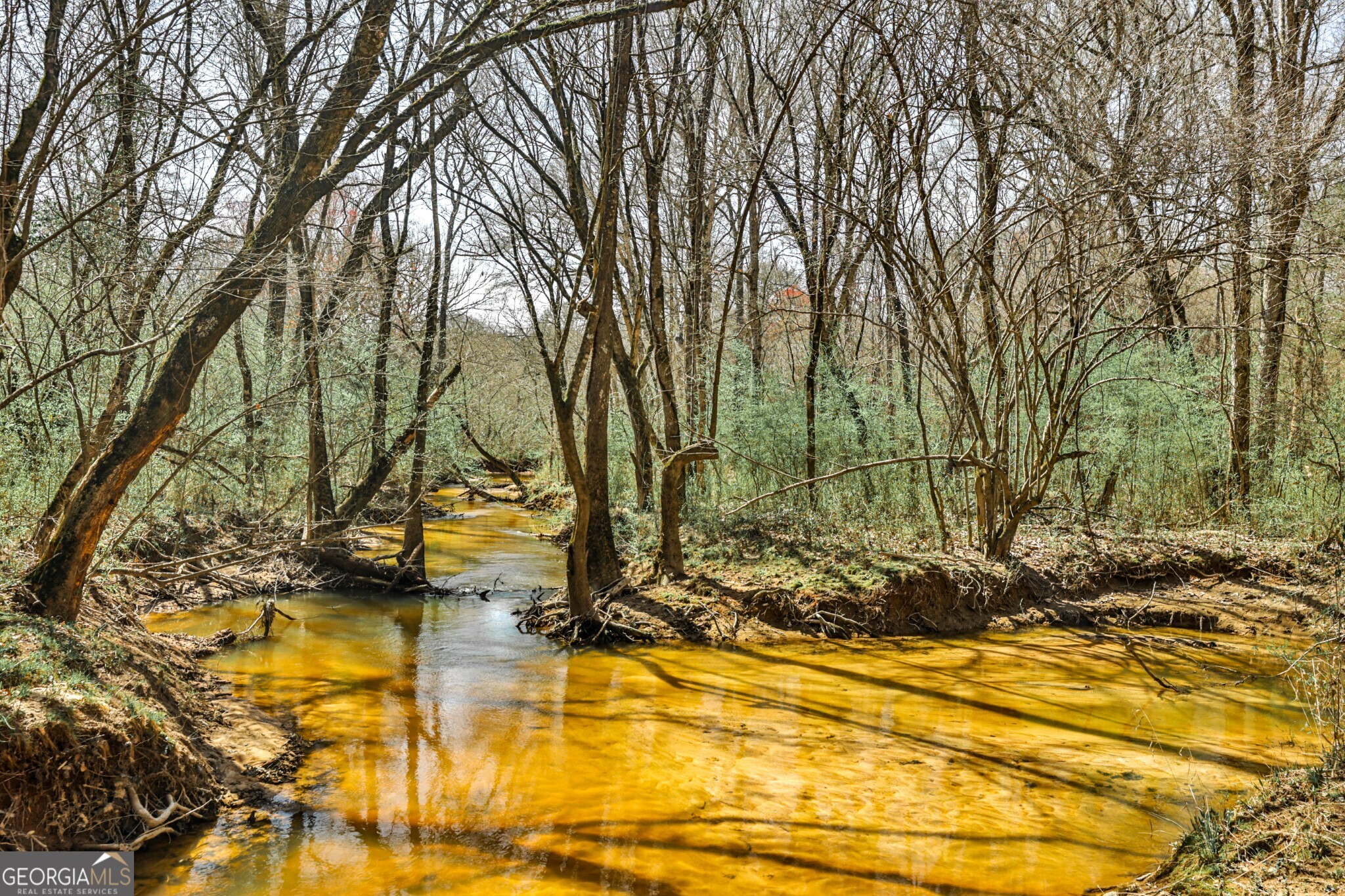 1757 Alabama Road Meansville, GA 30256 - Photo 12 of 91