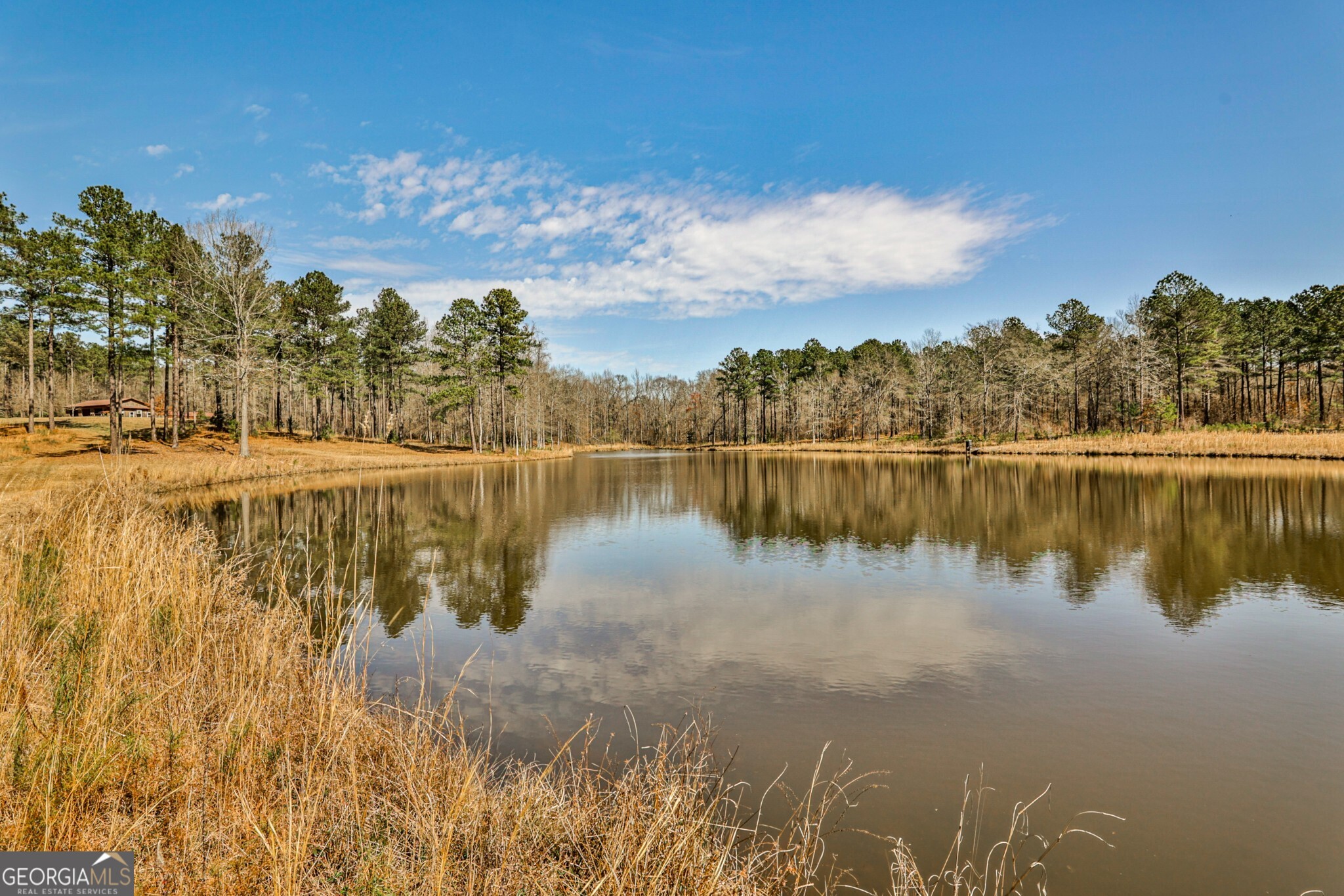 1757 Alabama Road Meansville, GA 30256 - Photo 2 of 91