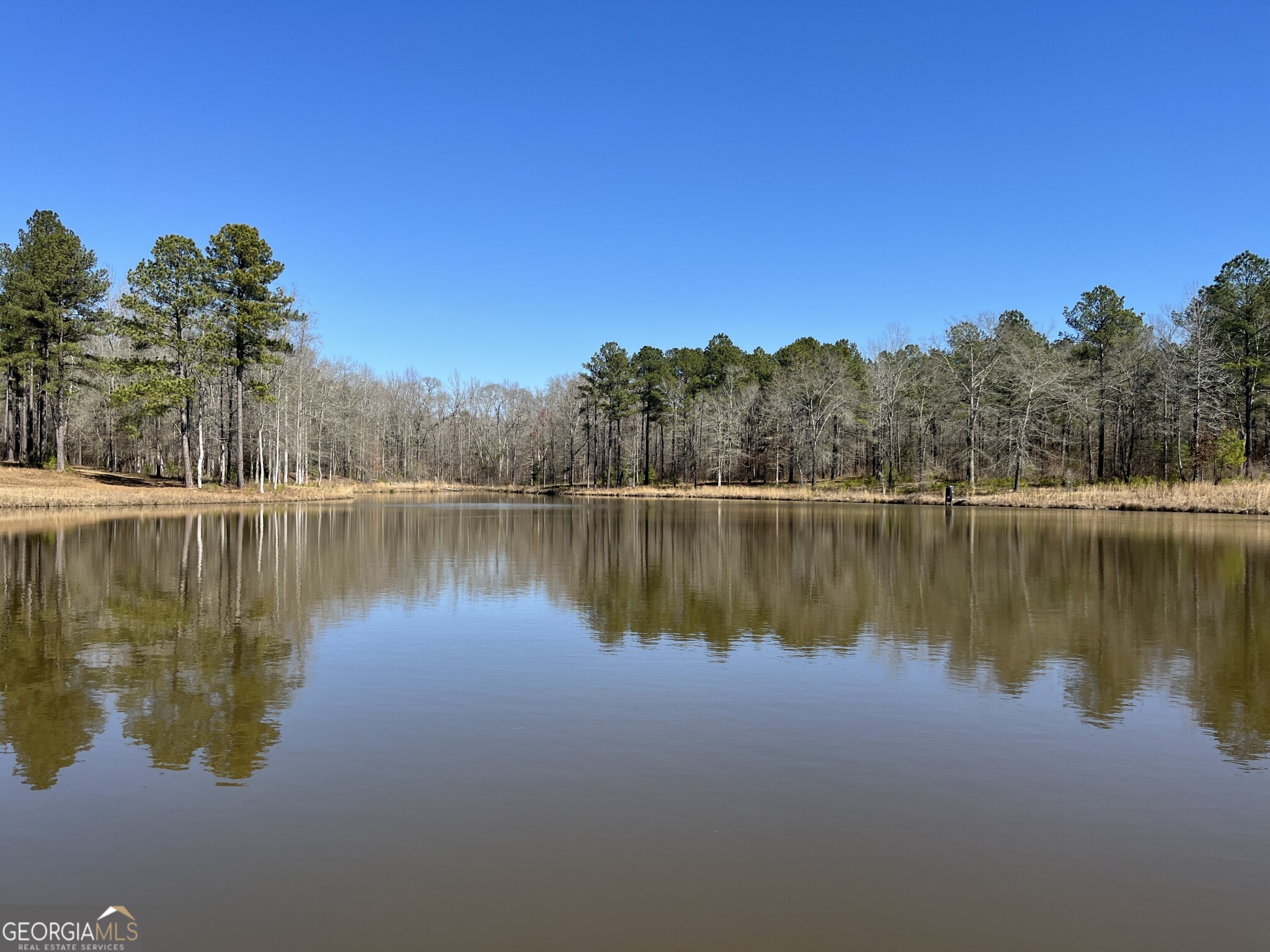 1757 Alabama Road Meansville, GA 30256 - Photo 21 of 91