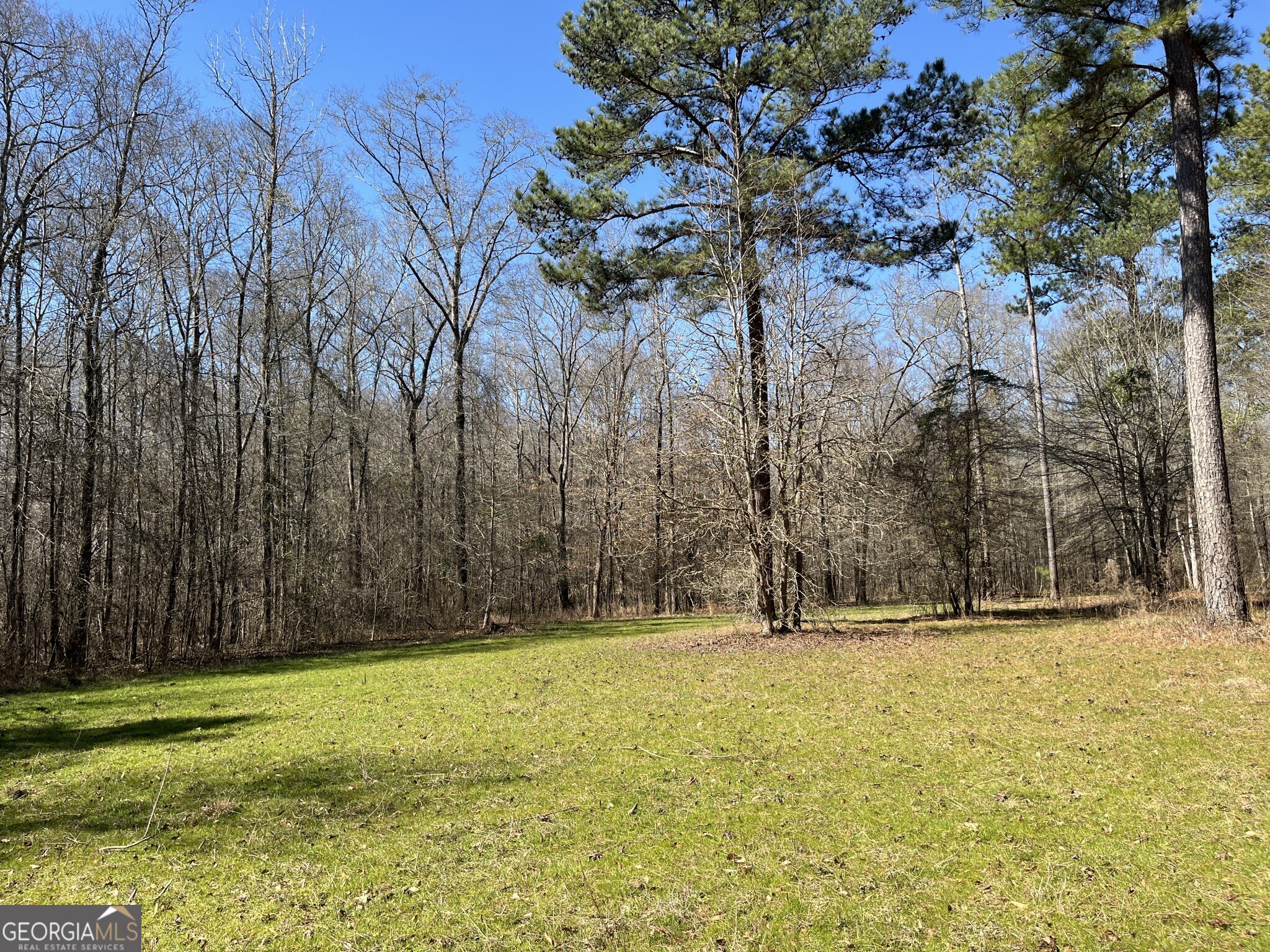 1757 Alabama Road Meansville, GA 30256 - Photo 23 of 91