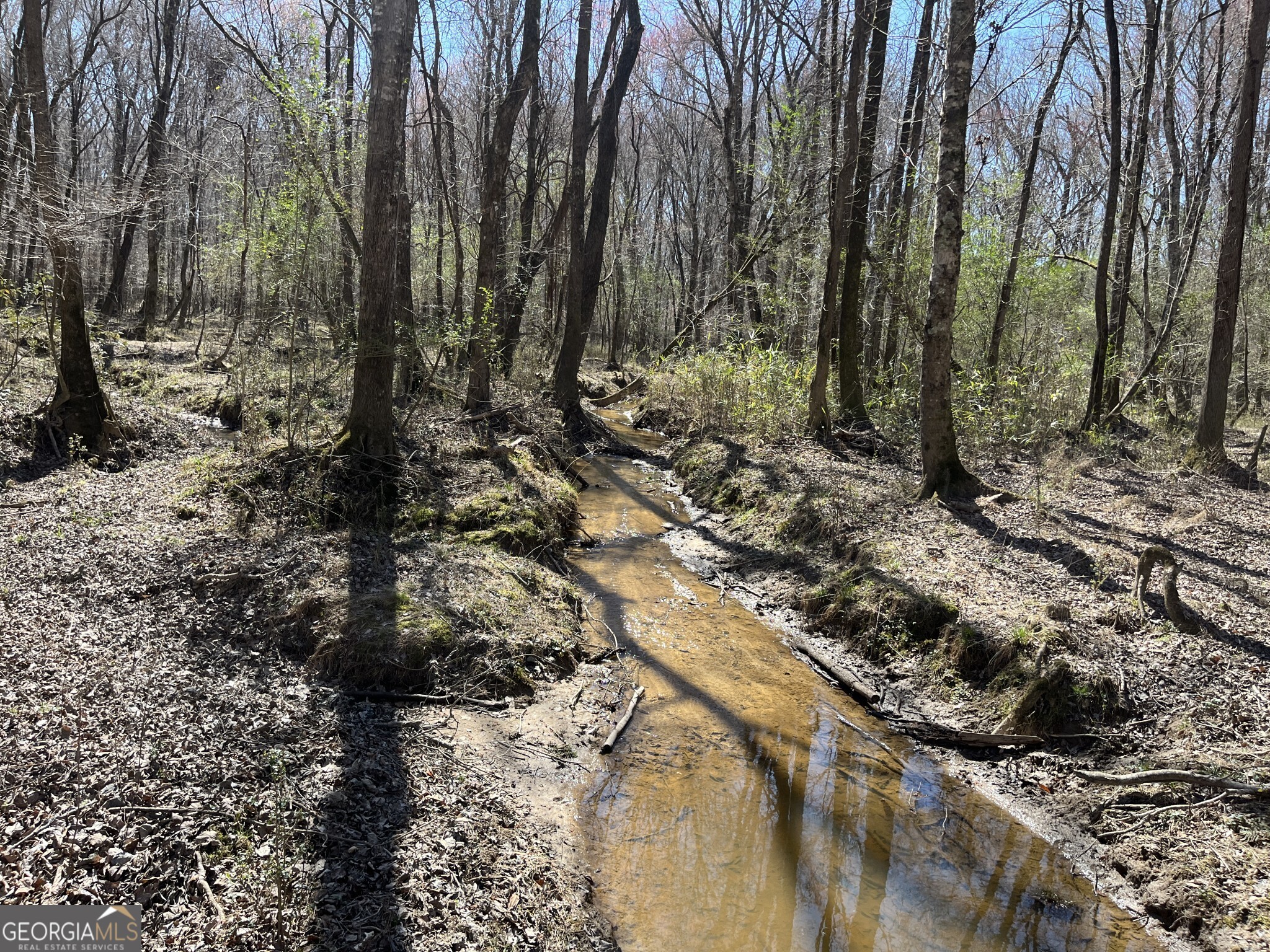 1757 Alabama Road Meansville, GA 30256 - Photo 24 of 91