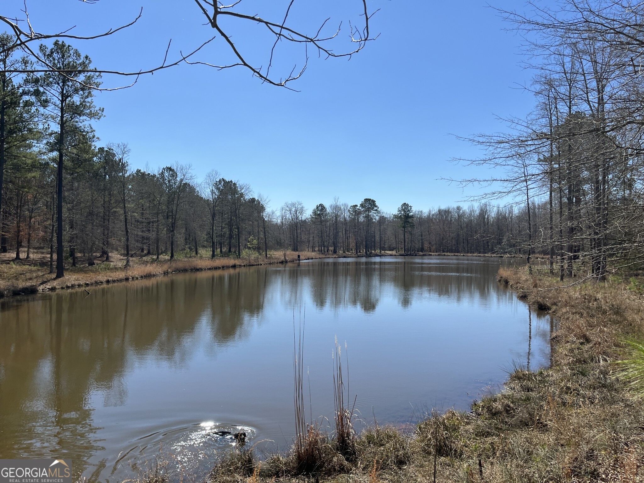 1757 Alabama Road Meansville, GA 30256 - Photo 25 of 91