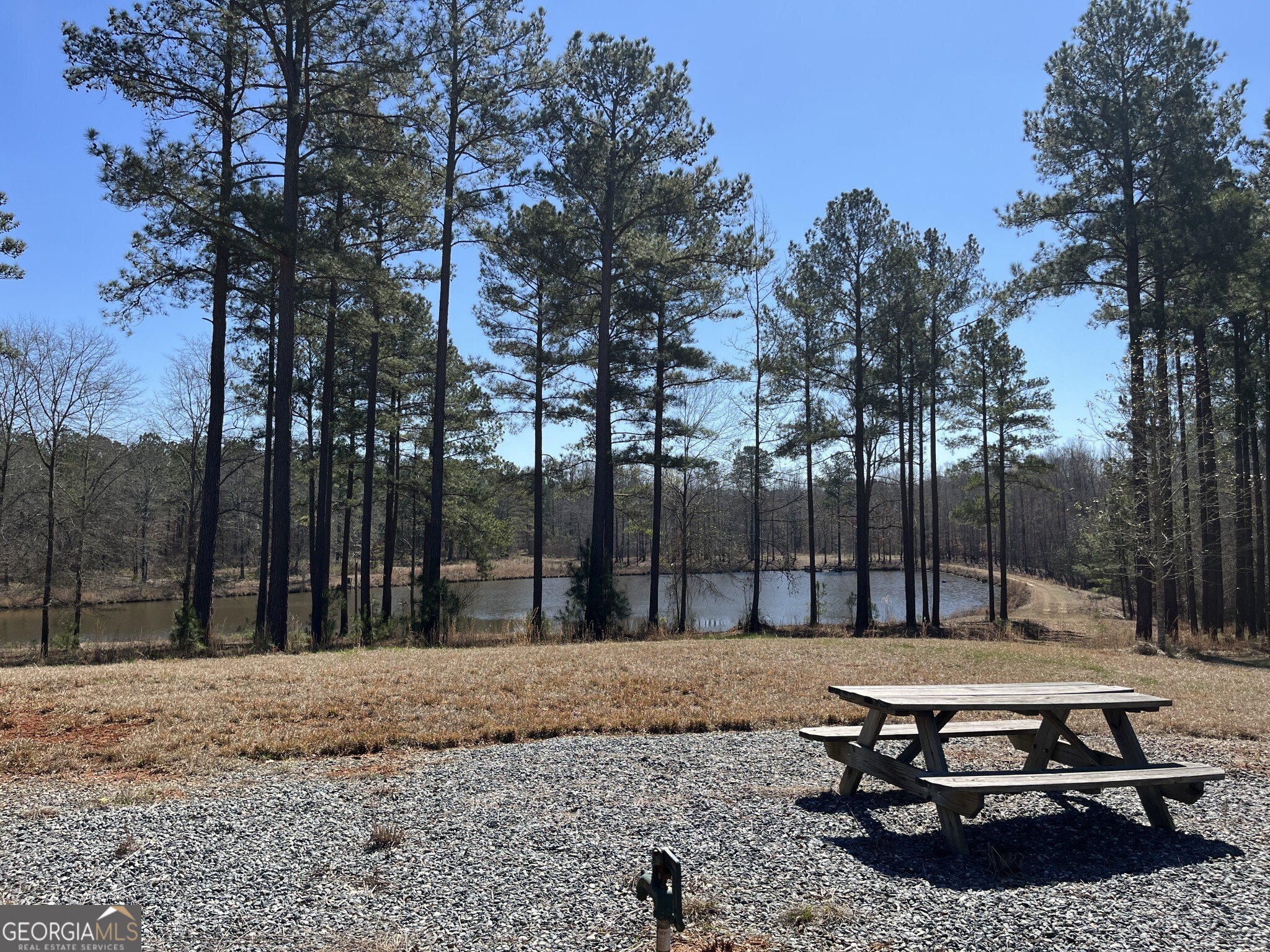 1757 Alabama Road Meansville, GA 30256 - Photo 26 of 91