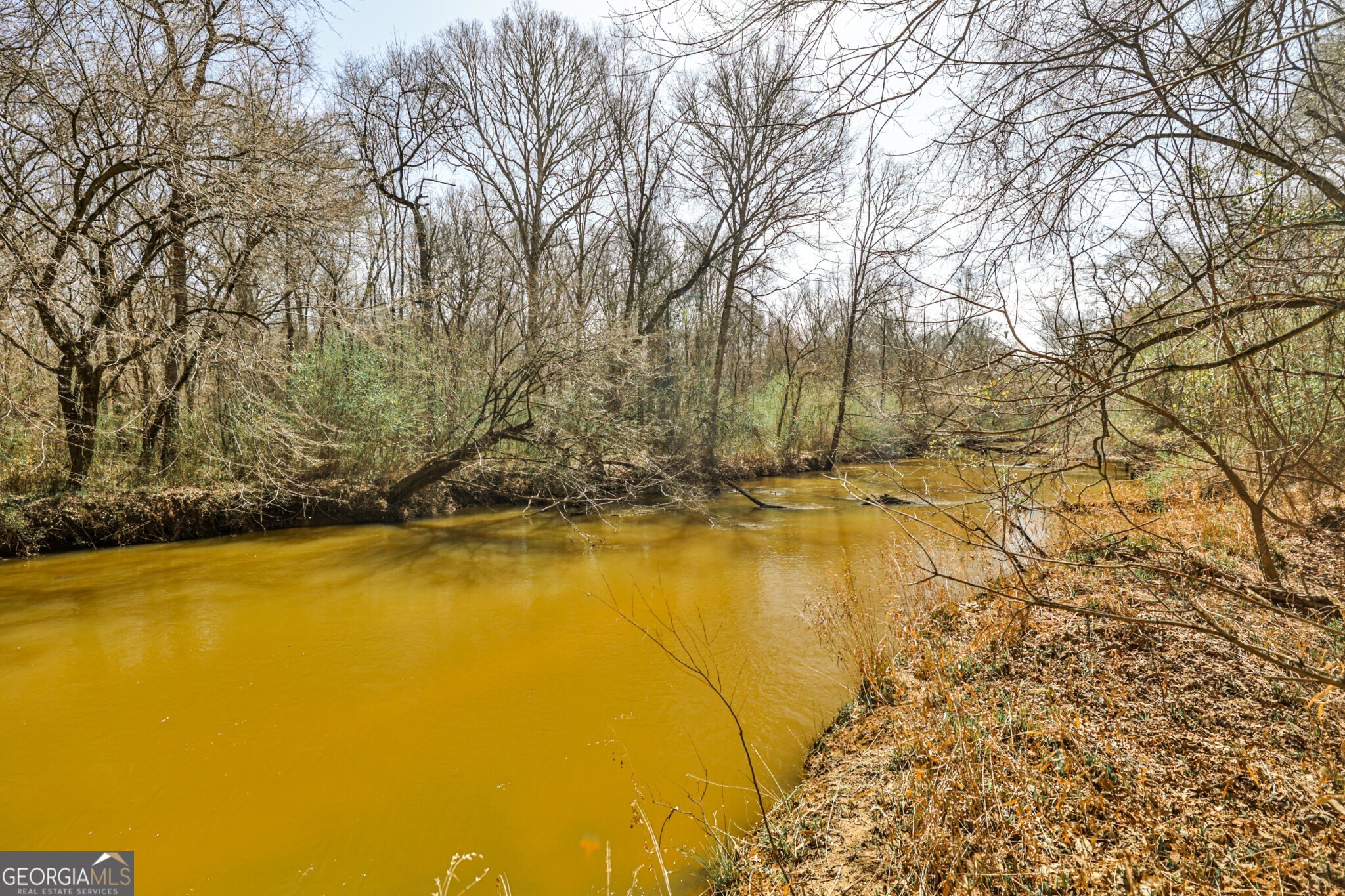 1757 Alabama Road Meansville, GA 30256 - Photo 3 of 91