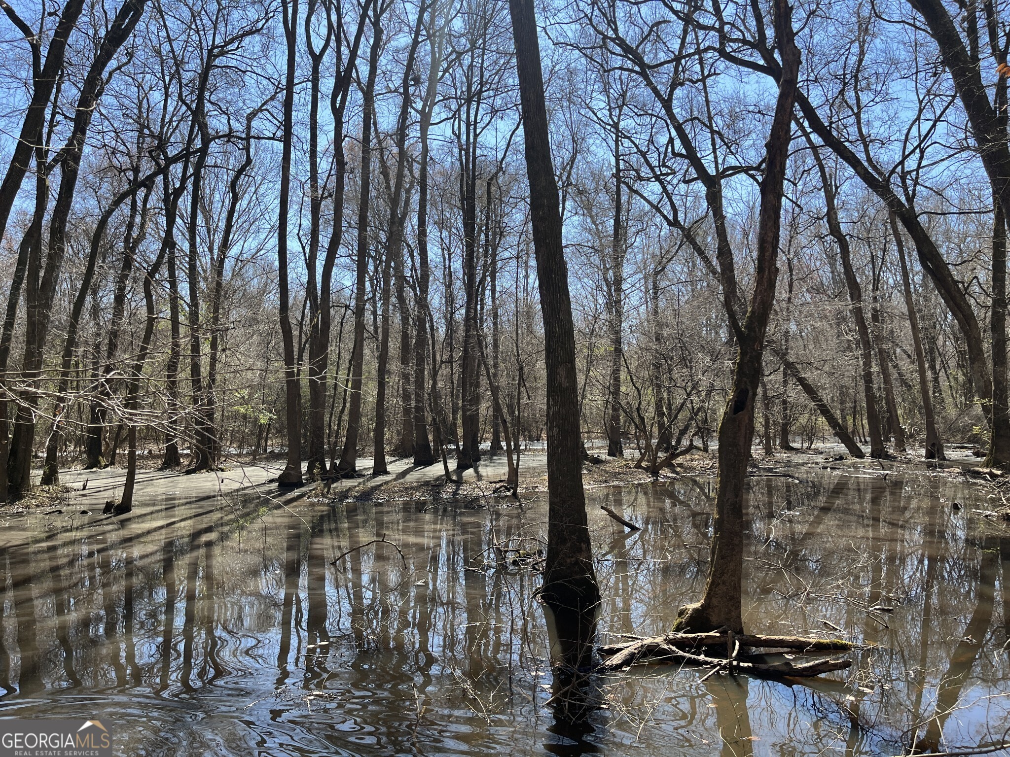1757 Alabama Road Meansville, GA 30256 - Photo 34 of 91