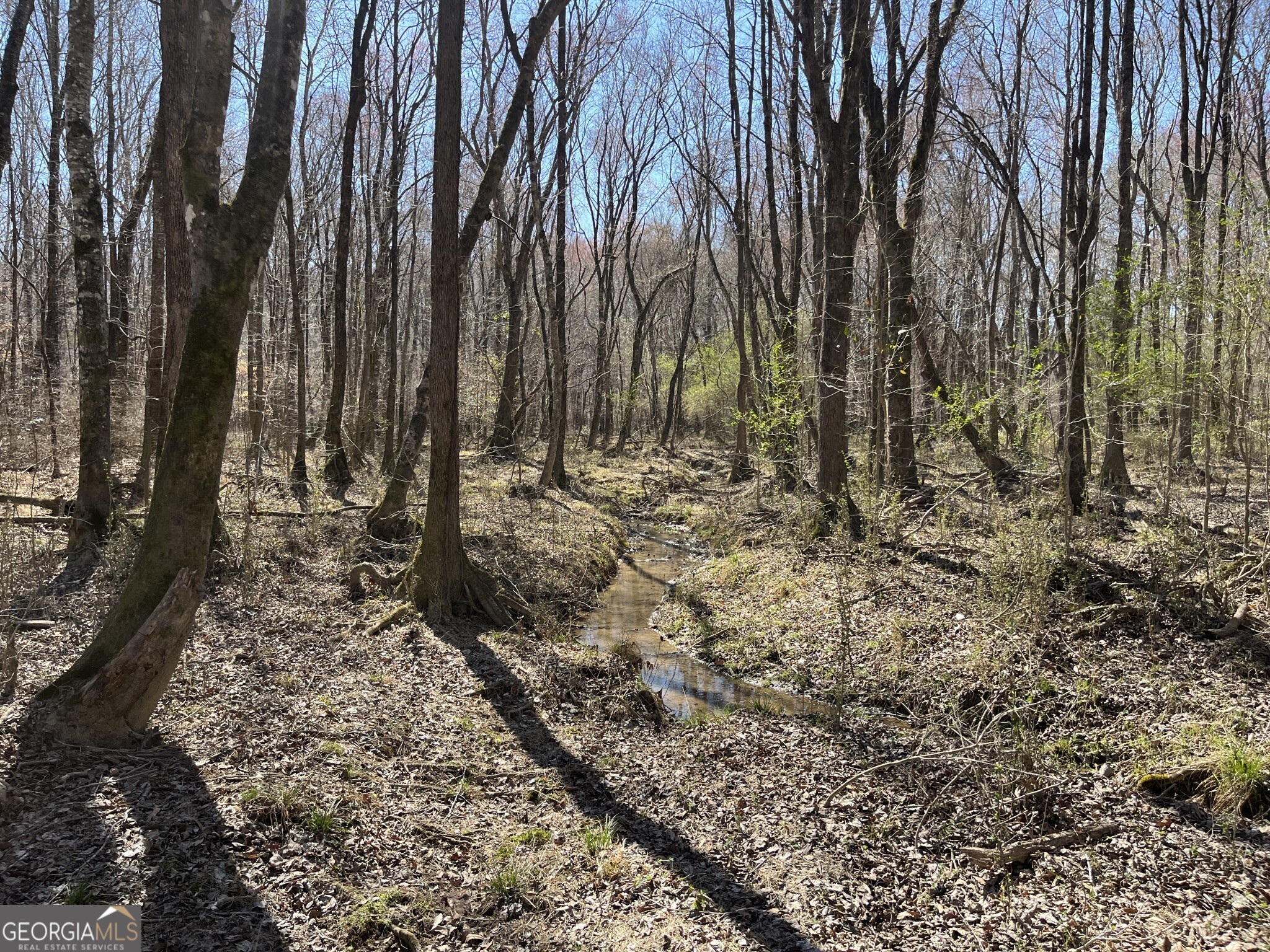 1757 Alabama Road Meansville, GA 30256 - Photo 36 of 91