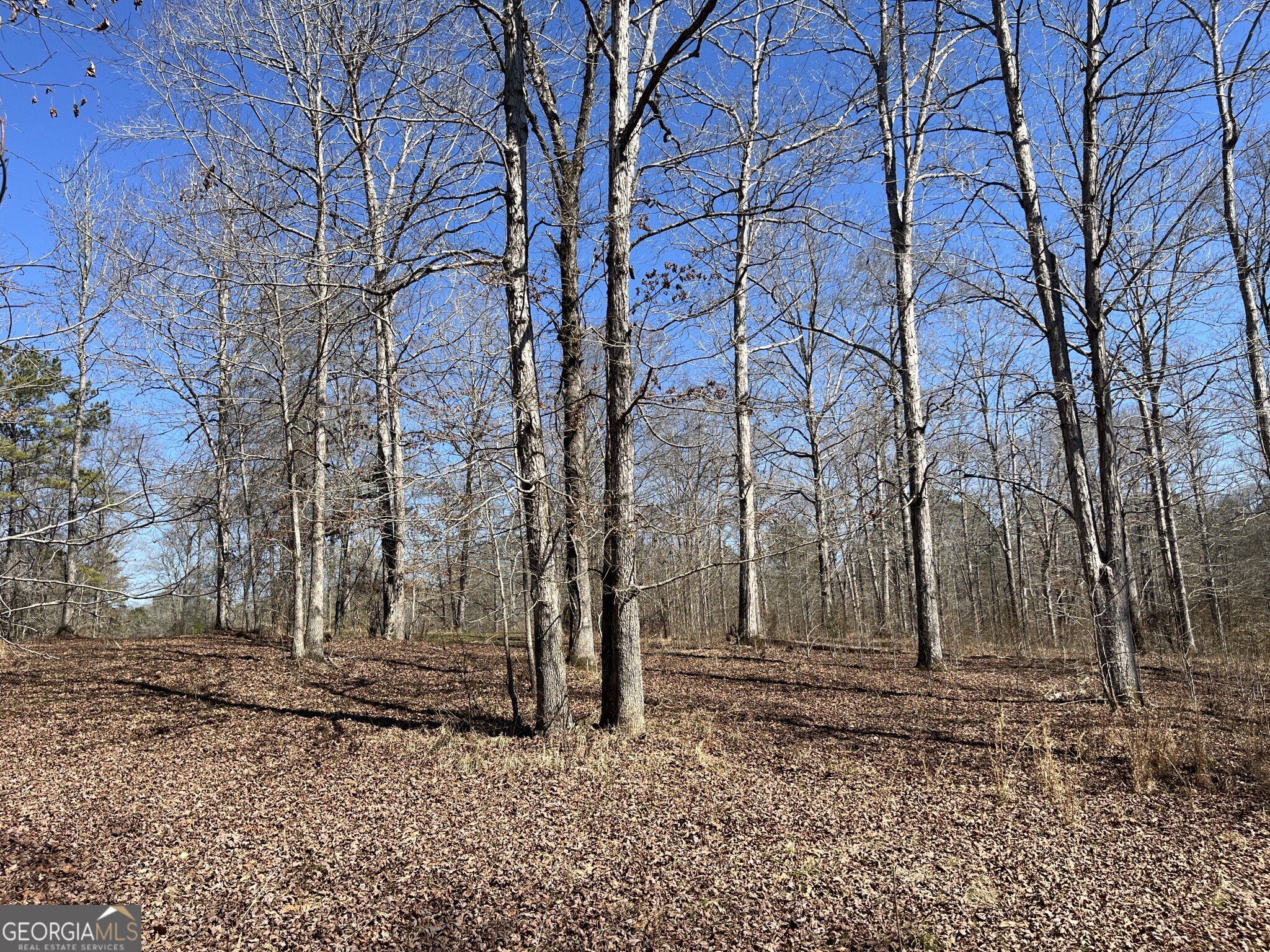 1757 Alabama Road Meansville, GA 30256 - Photo 37 of 91