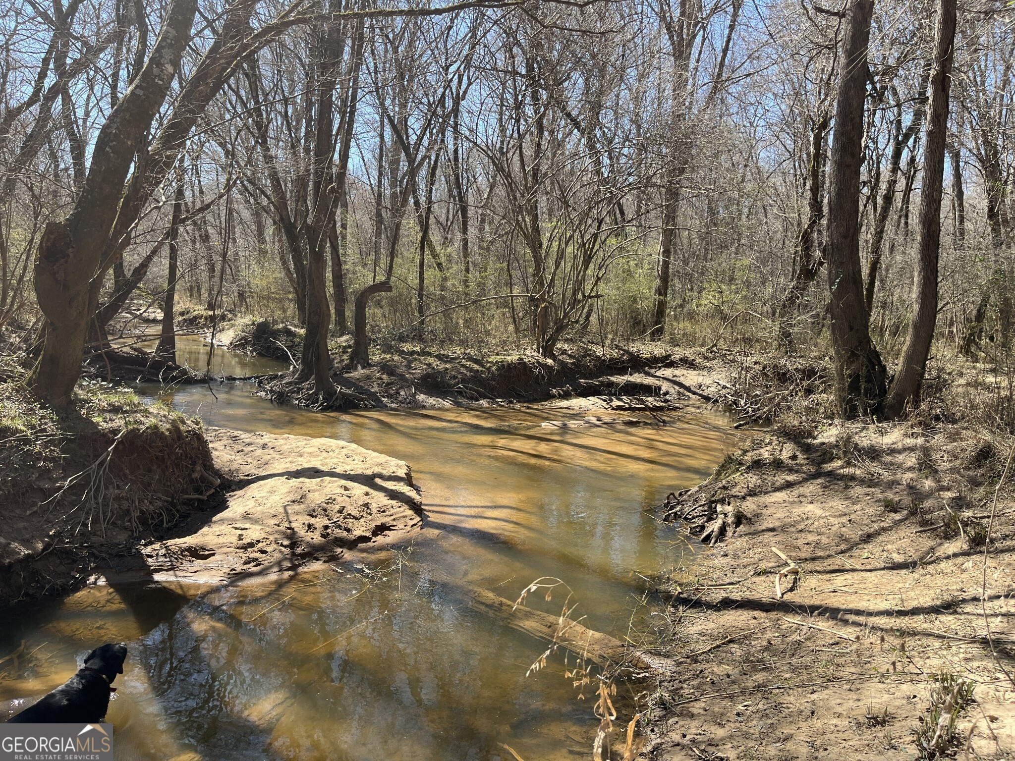 1757 Alabama Road Meansville, GA 30256 - Photo 38 of 91