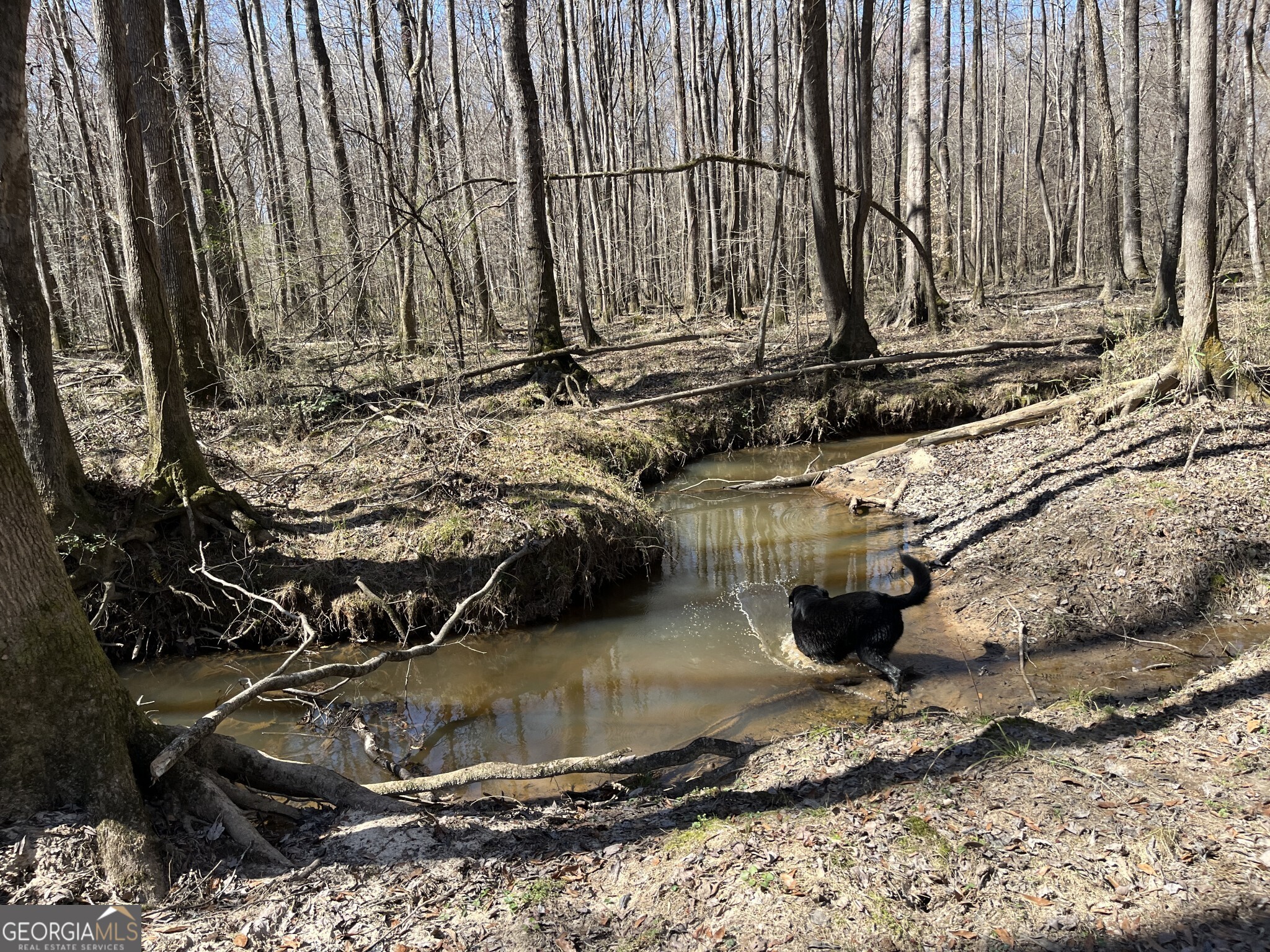 1757 Alabama Road Meansville, GA 30256 - Photo 40 of 91