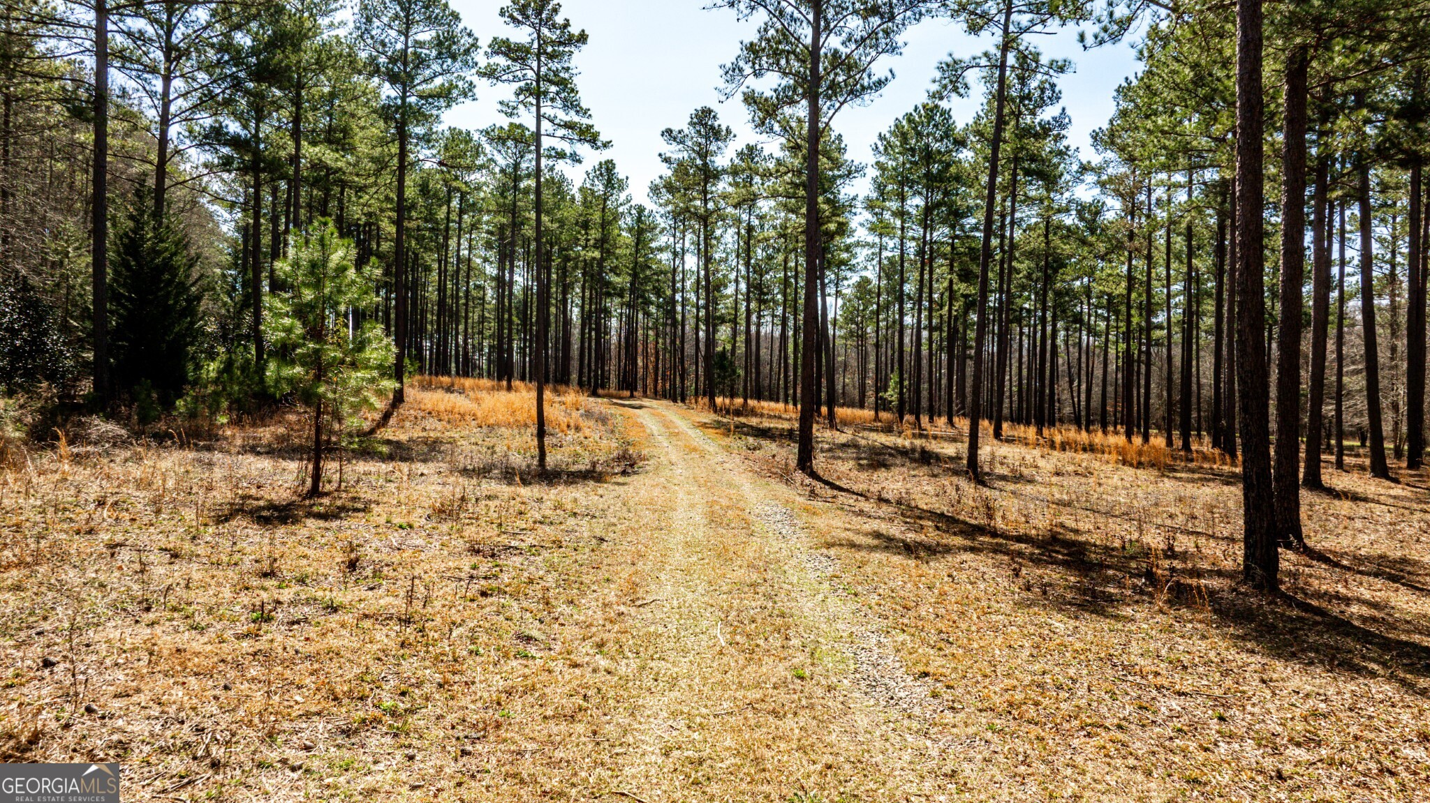 1757 Alabama Road Meansville, GA 30256 - Photo 4 of 91