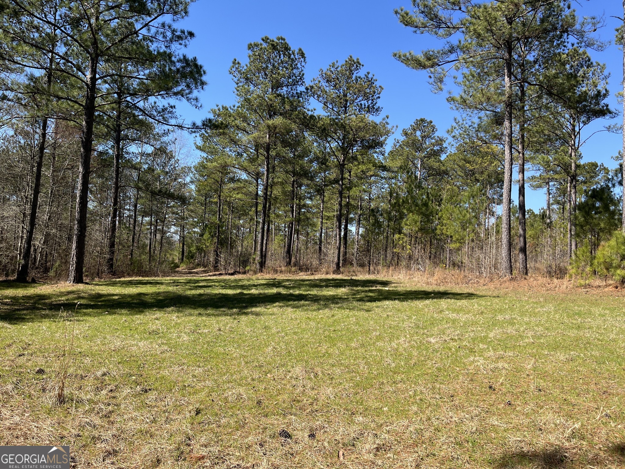 1757 Alabama Road Meansville, GA 30256 - Photo 41 of 91