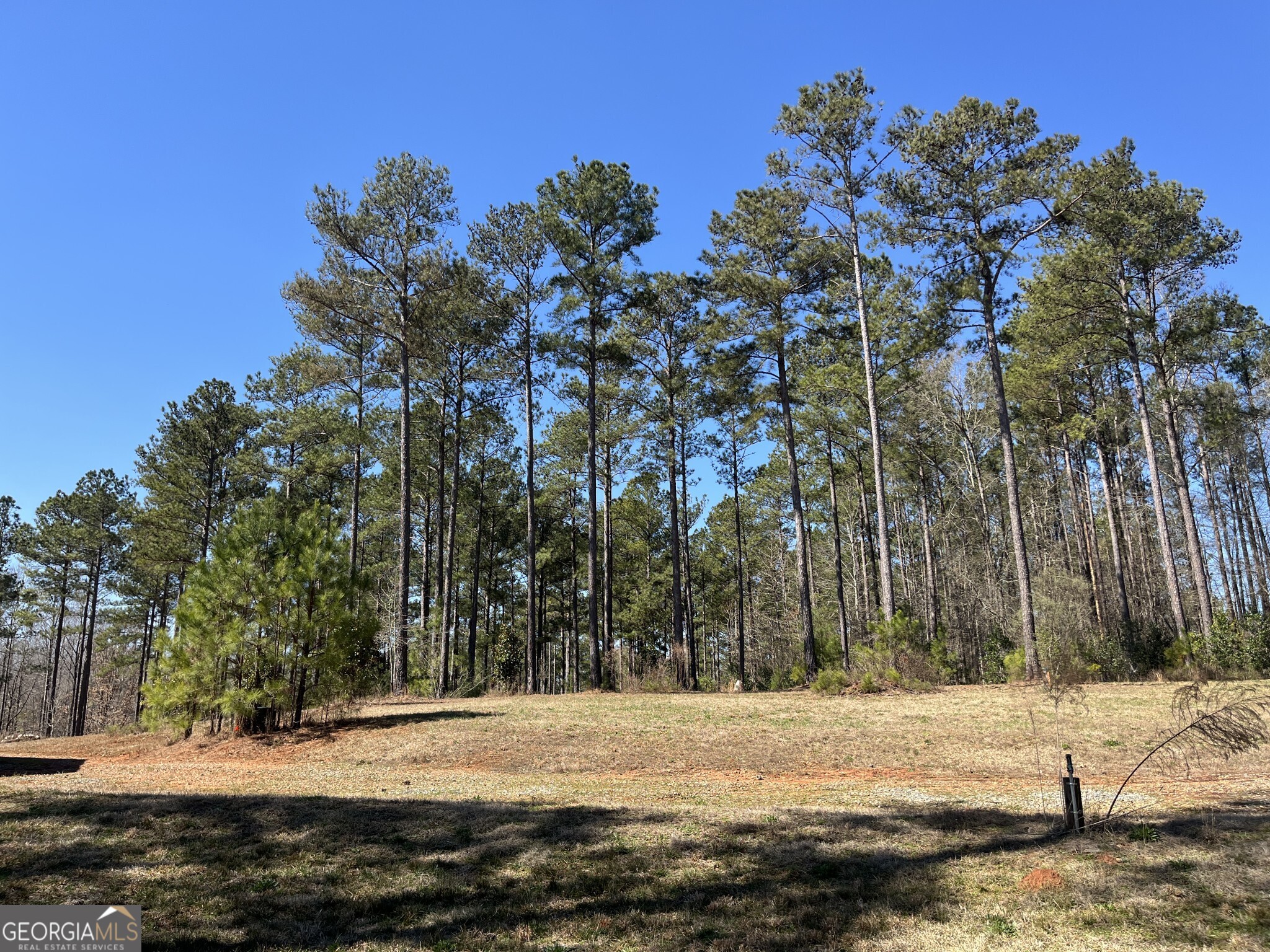 1757 Alabama Road Meansville, GA 30256 - Photo 42 of 91