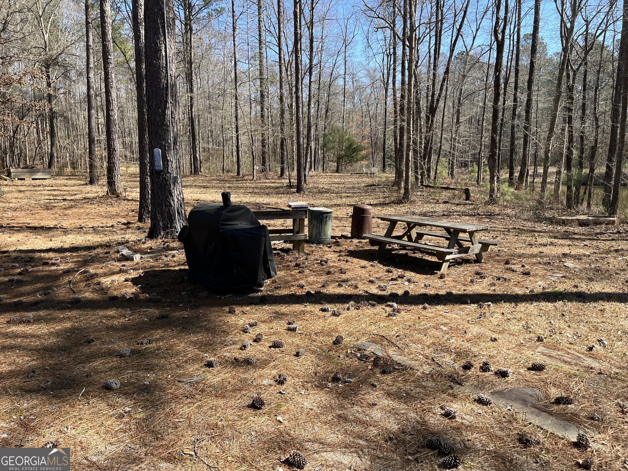 1757 Alabama Road Meansville, GA 30256 - Photo 44 of 91