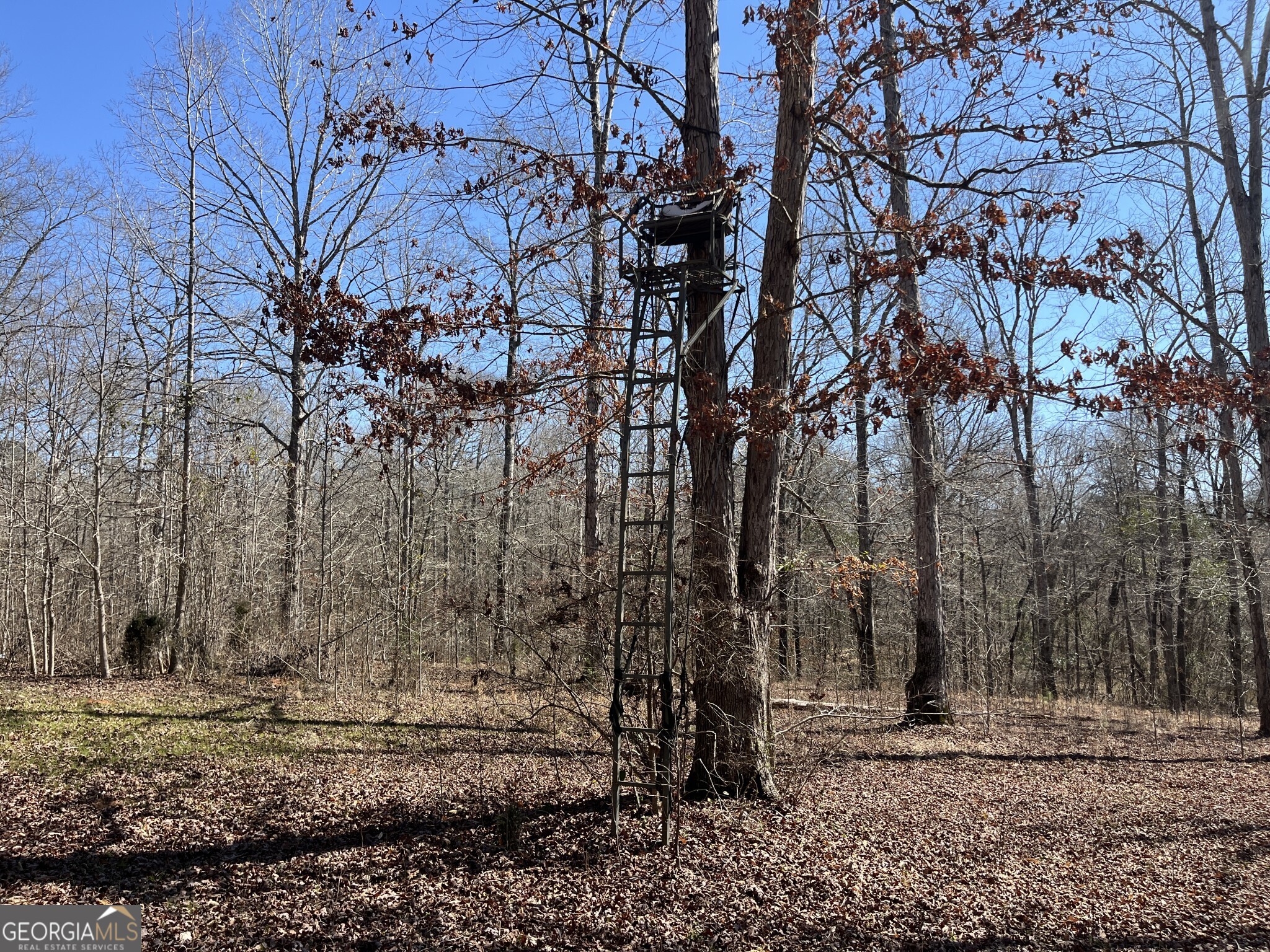 1757 Alabama Road Meansville, GA 30256 - Photo 45 of 91