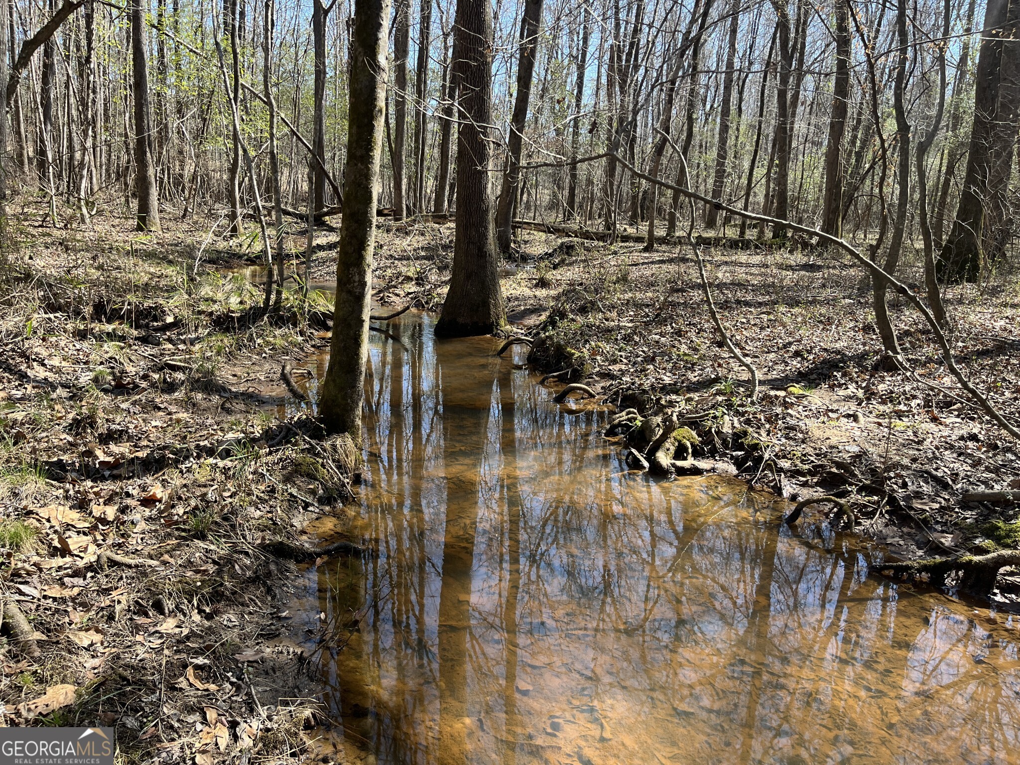 1757 Alabama Road Meansville, GA 30256 - Photo 46 of 91