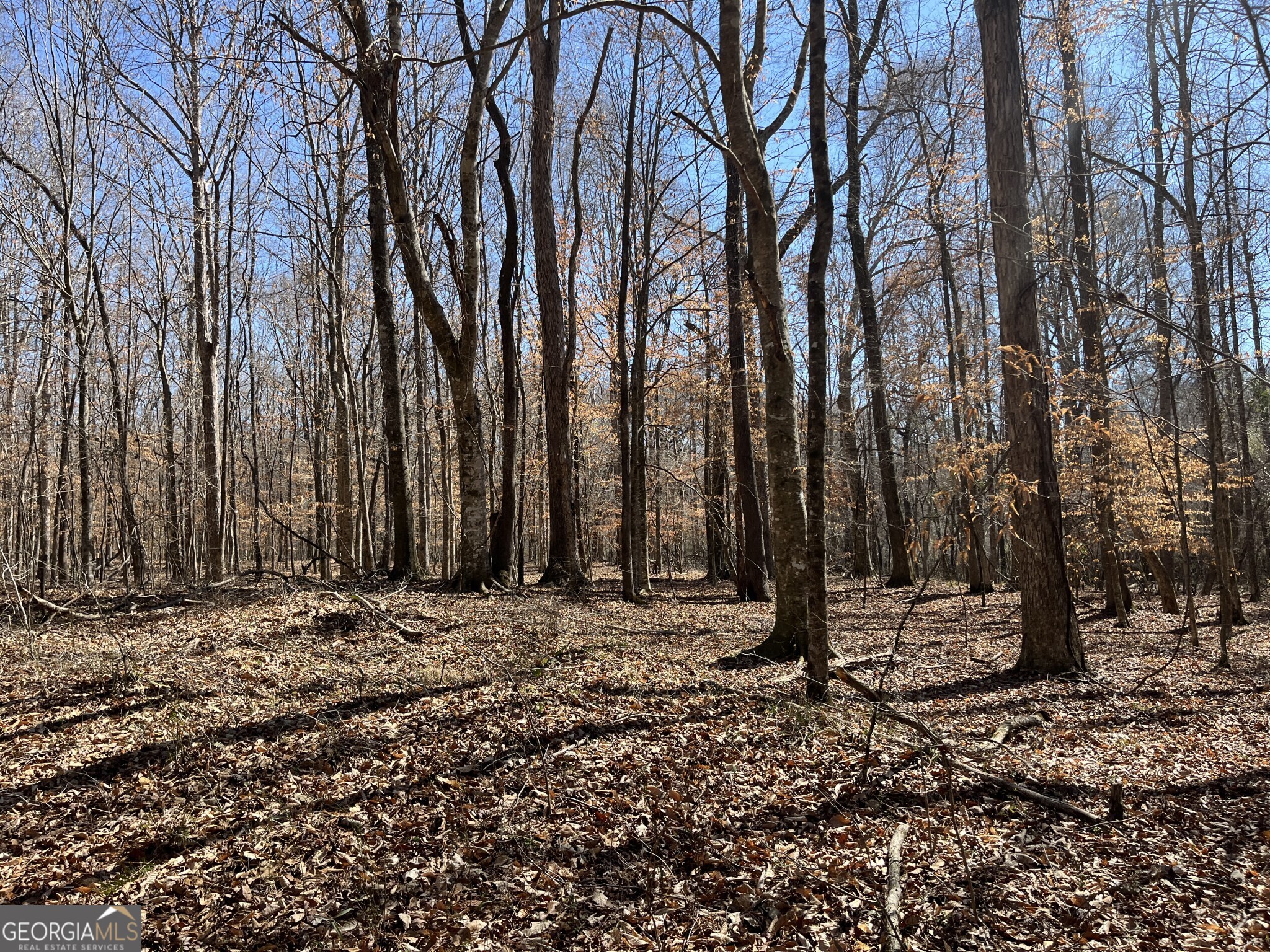 1757 Alabama Road Meansville, GA 30256 - Photo 47 of 91