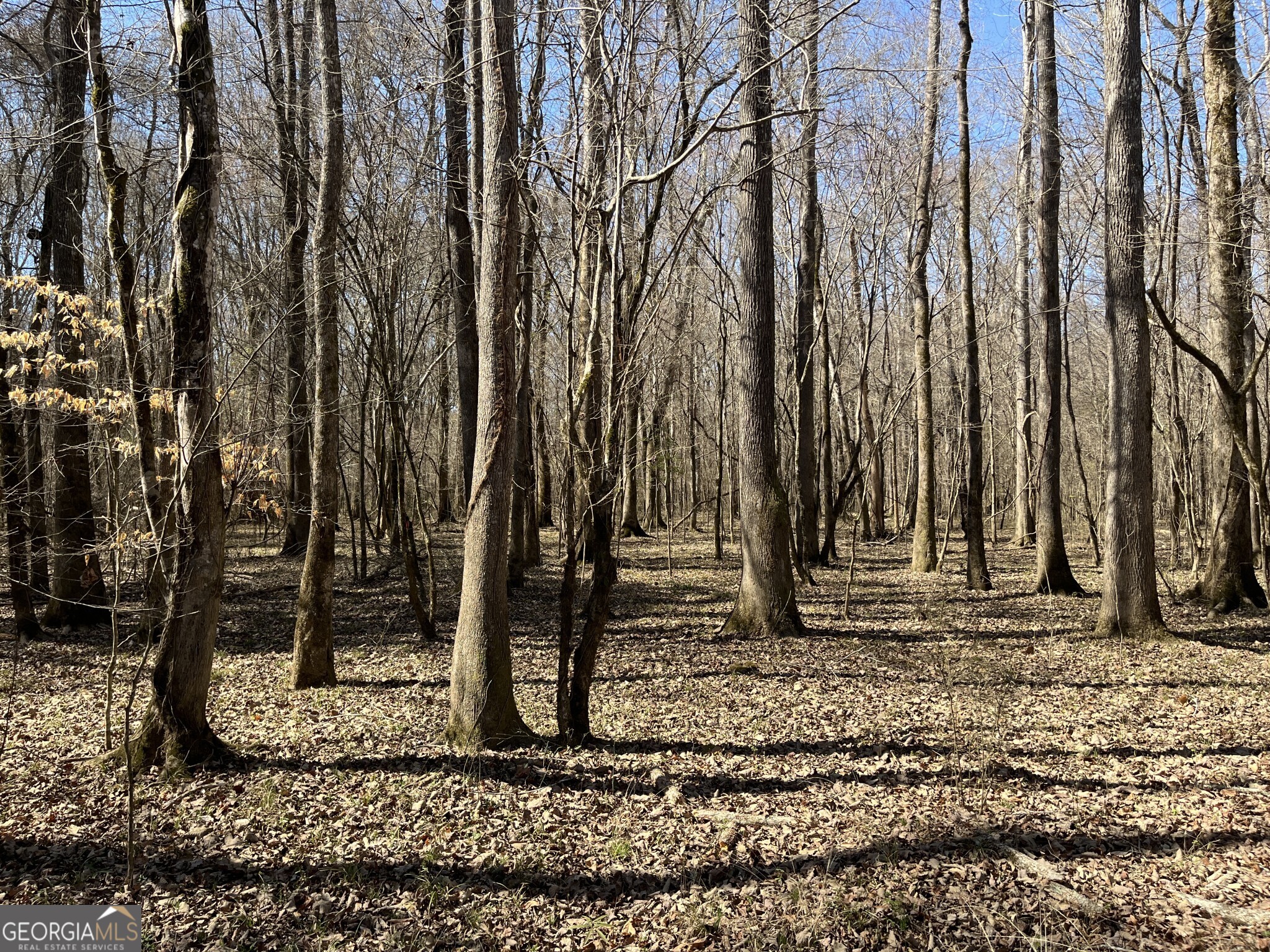 1757 Alabama Road Meansville, GA 30256 - Photo 49 of 91