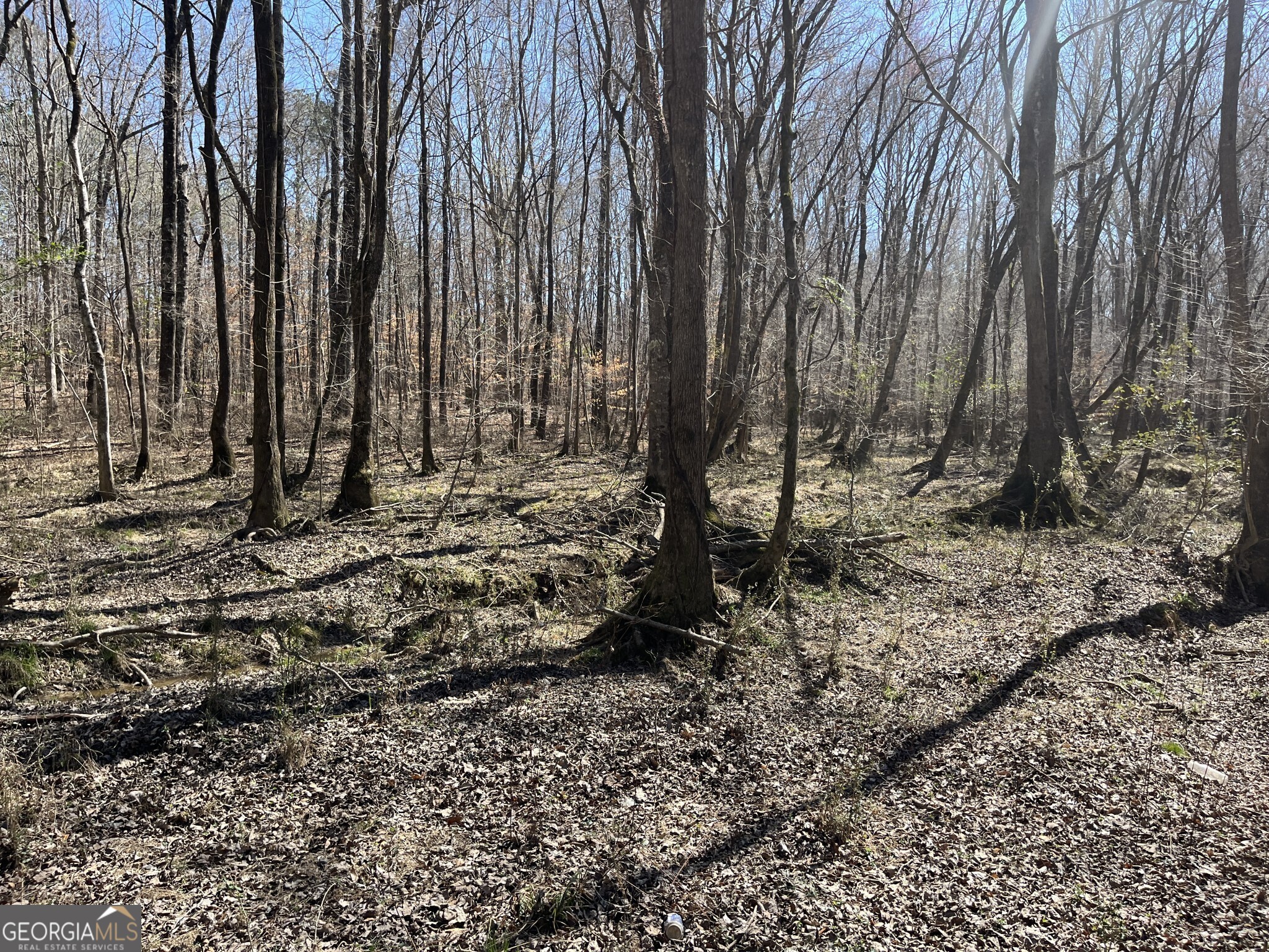 1757 Alabama Road Meansville, GA 30256 - Photo 52 of 91