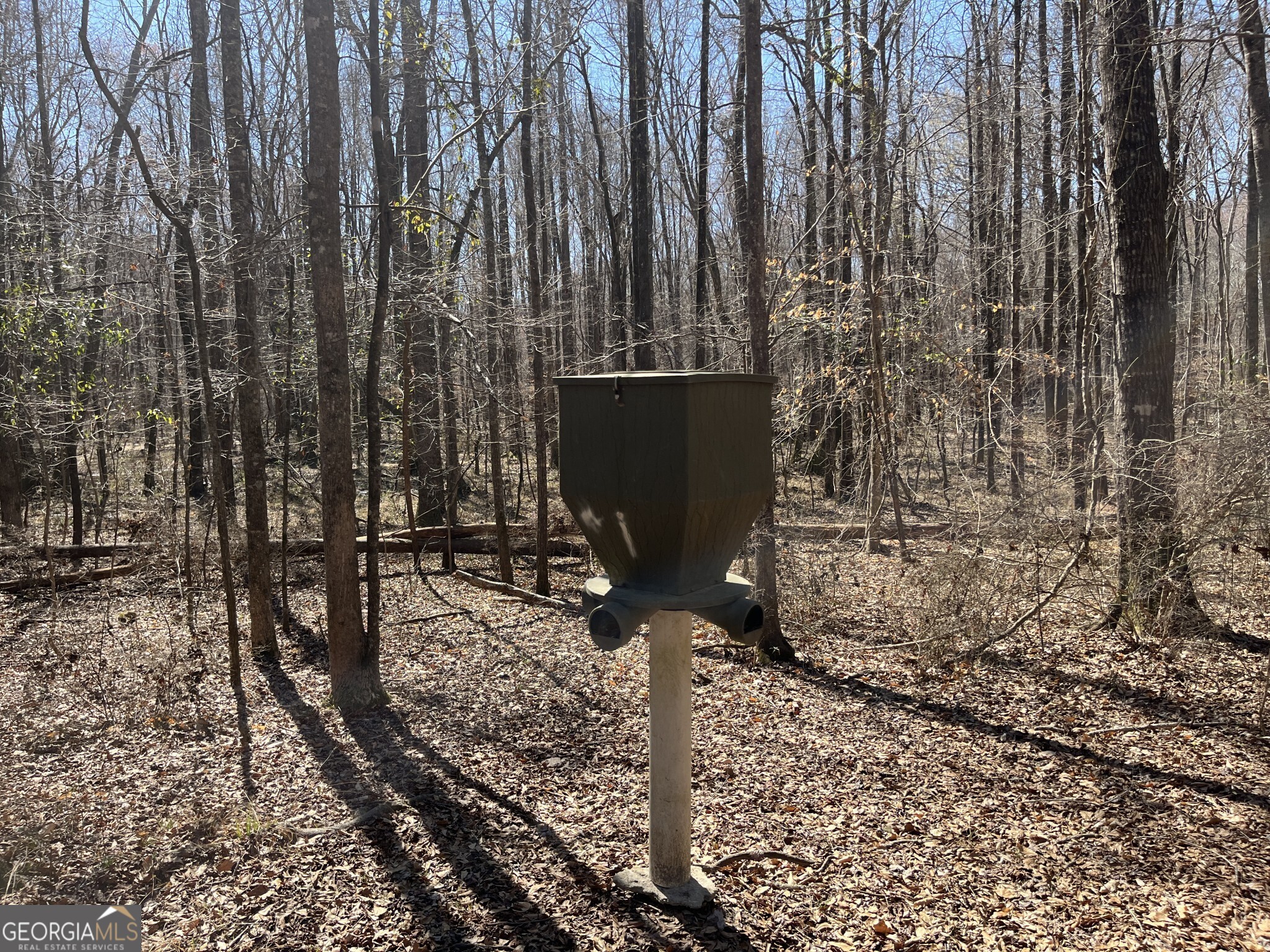 1757 Alabama Road Meansville, GA 30256 - Photo 53 of 91