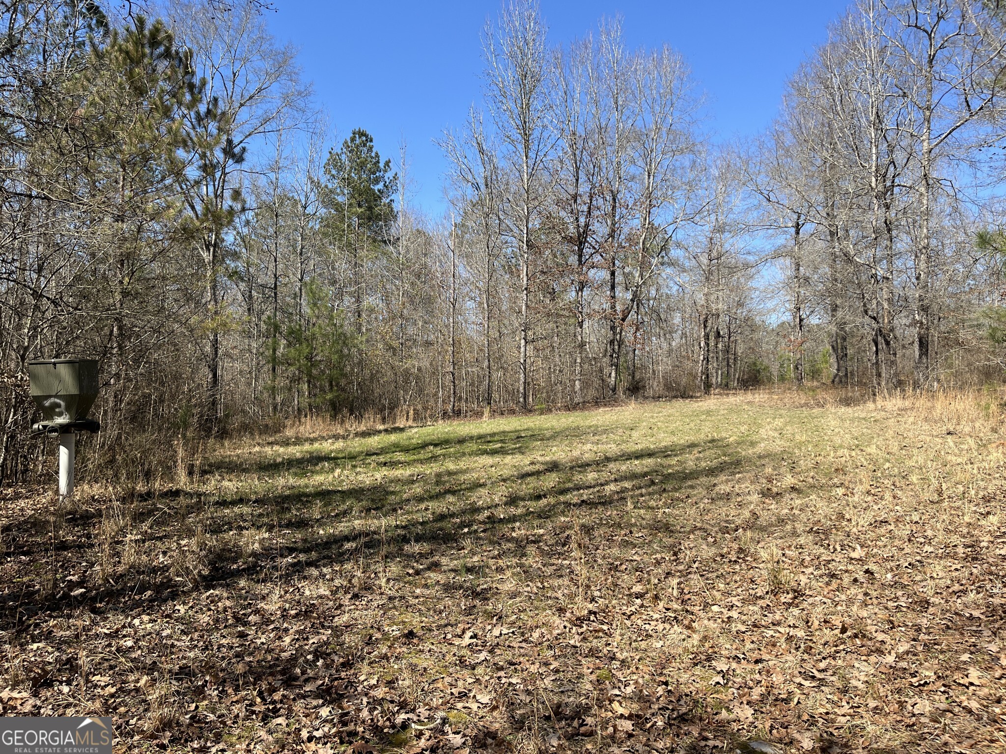 1757 Alabama Road Meansville, GA 30256 - Photo 54 of 91