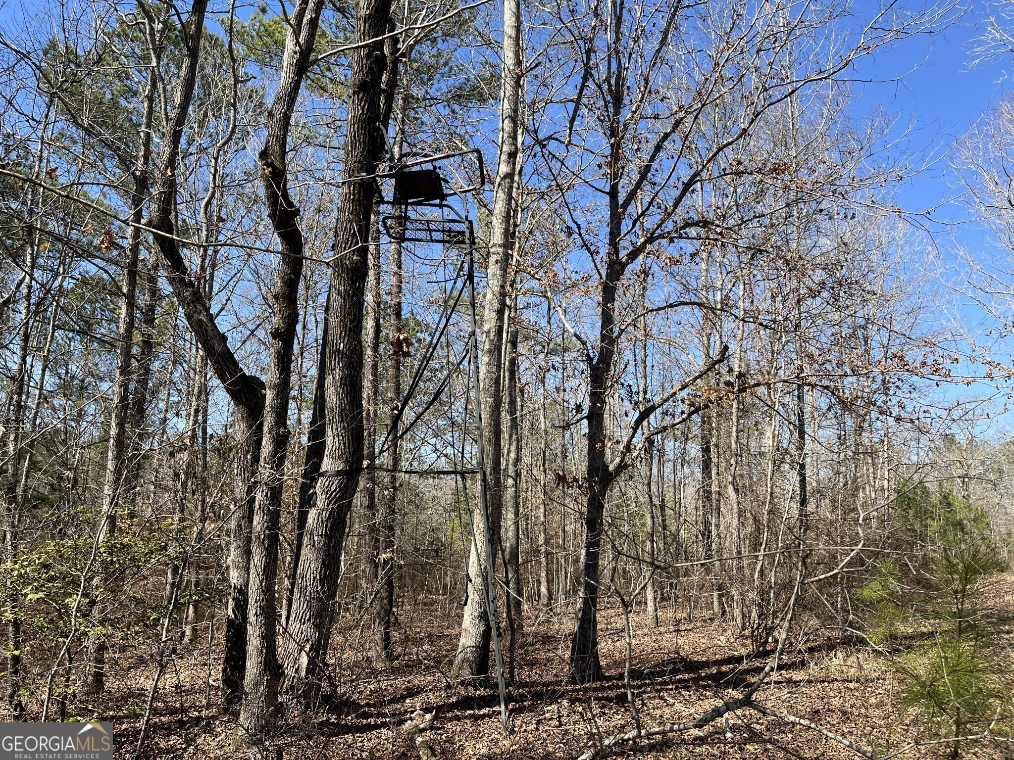 1757 Alabama Road Meansville, GA 30256 - Photo 55 of 91