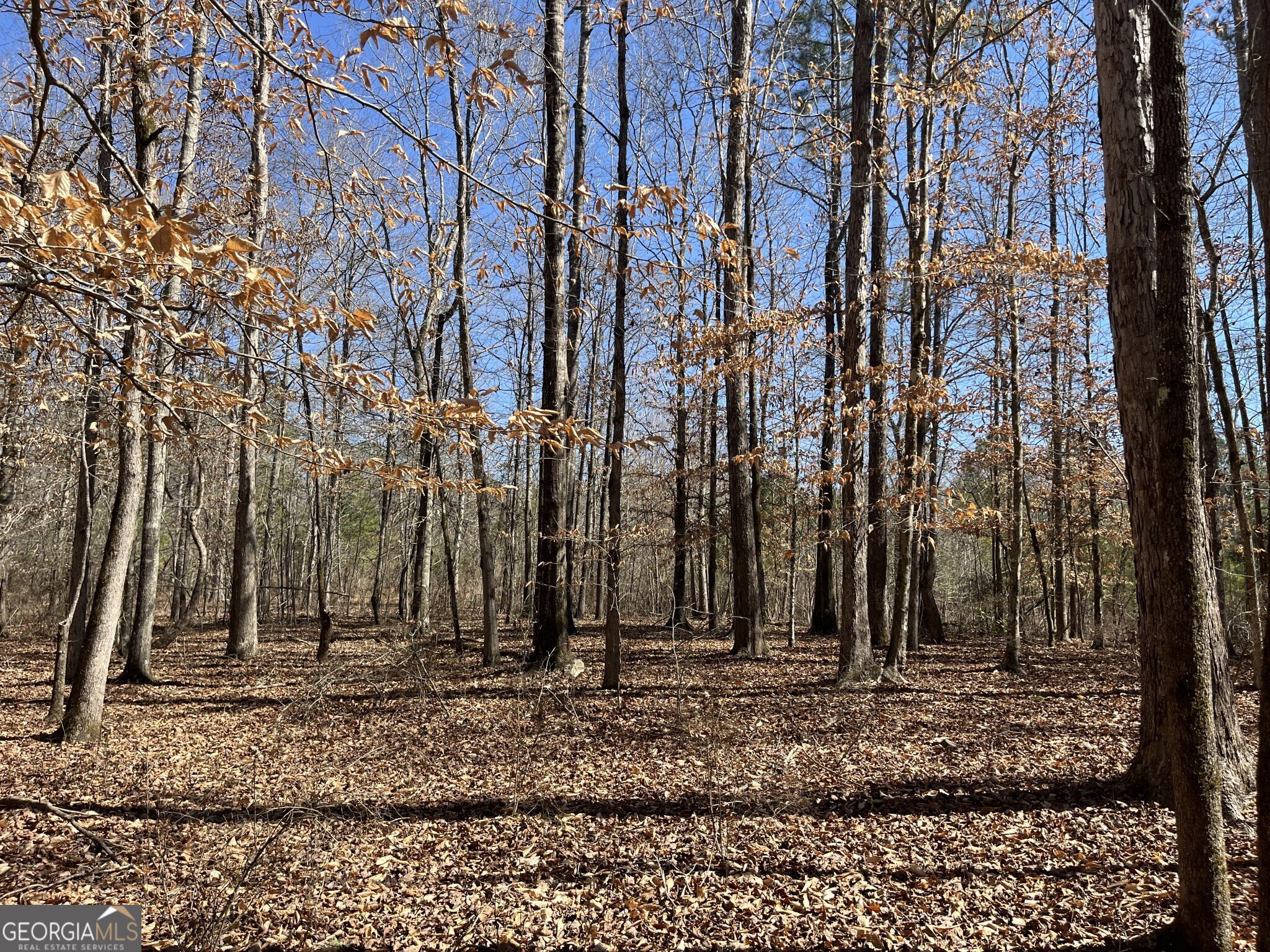 1757 Alabama Road Meansville, GA 30256 - Photo 56 of 91