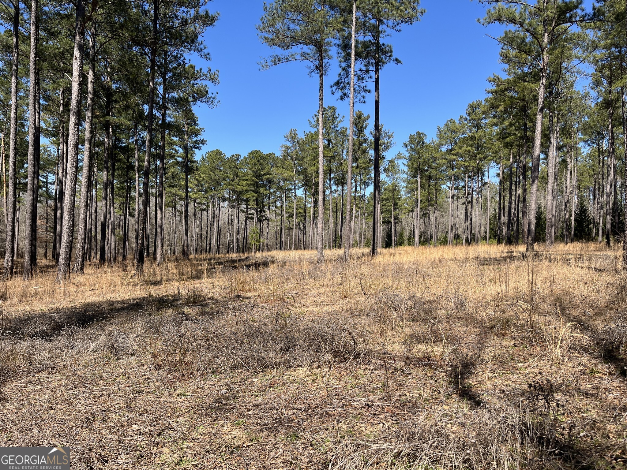 1757 Alabama Road Meansville, GA 30256 - Photo 57 of 91