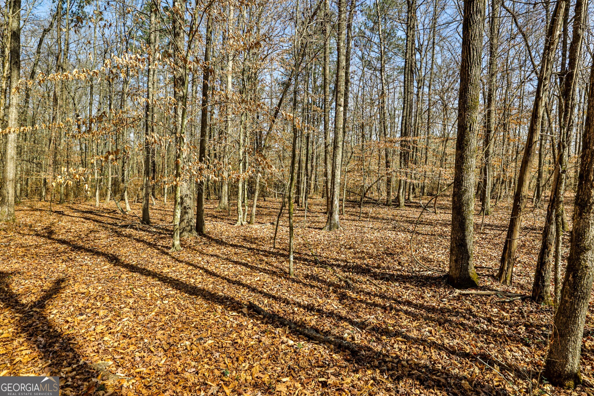 1757 Alabama Road Meansville, GA 30256 - Photo 58 of 91