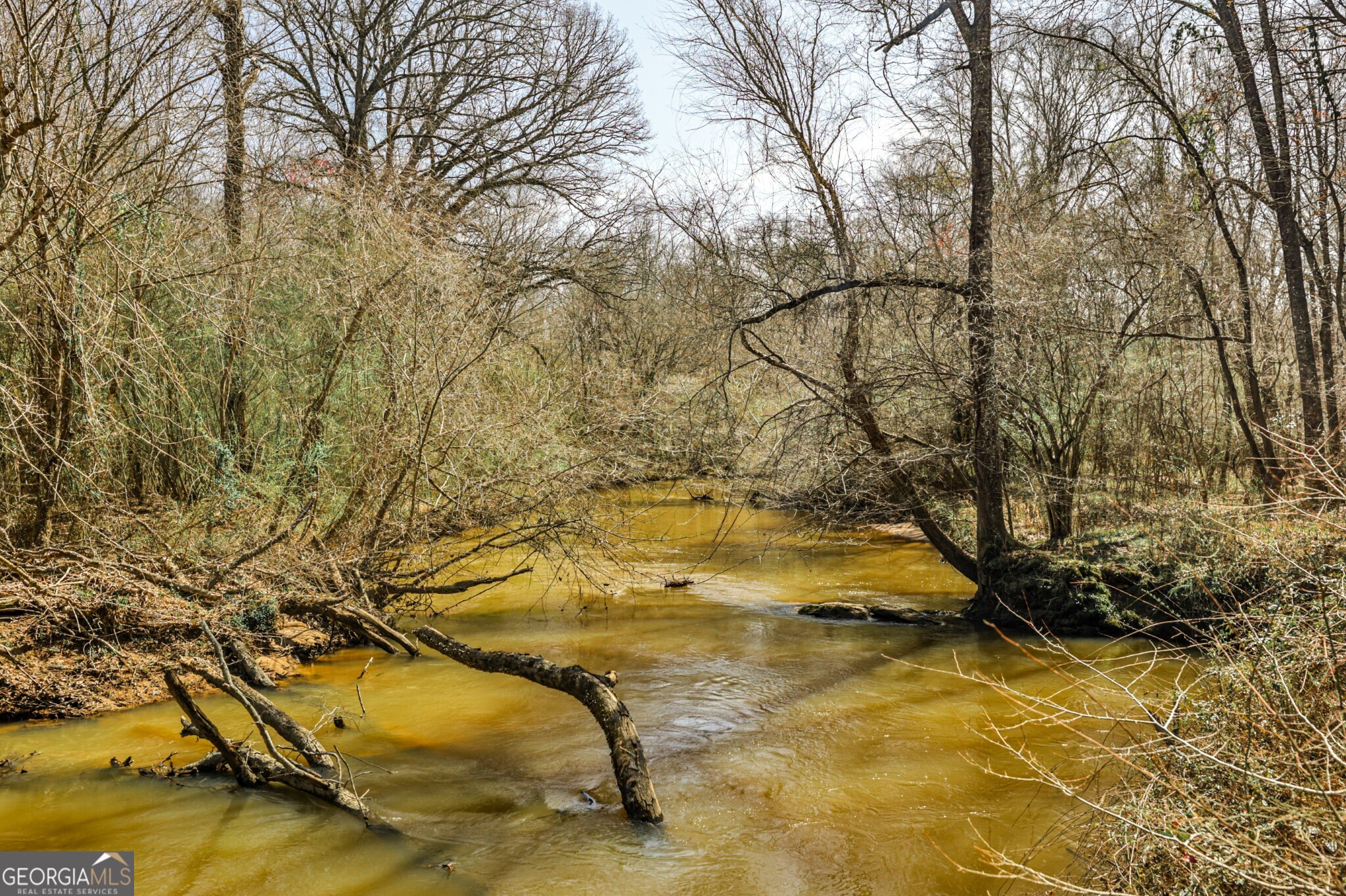 1757 Alabama Road Meansville, GA 30256 - Photo 59 of 91