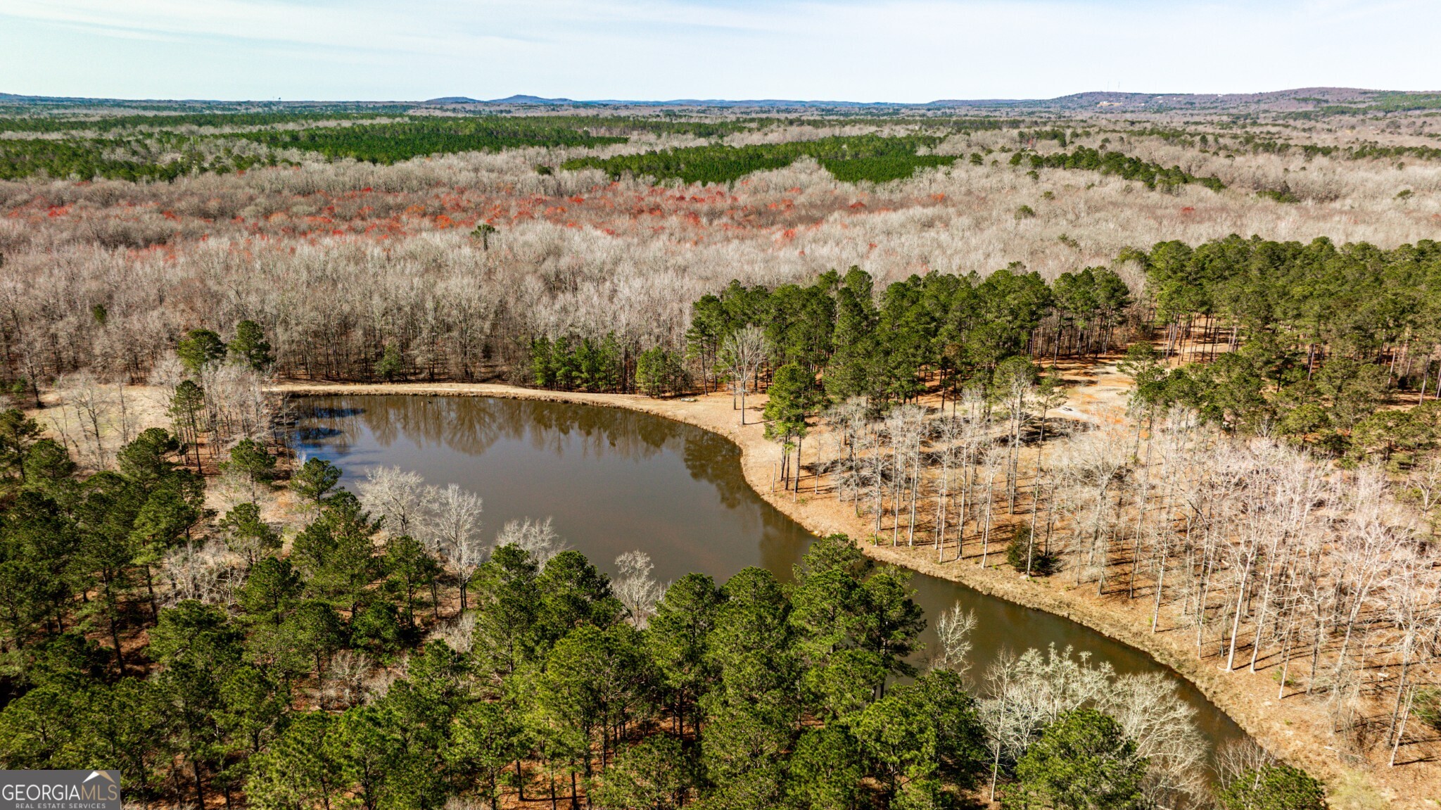 1757 Alabama Road Meansville, GA 30256 - Photo 60 of 91